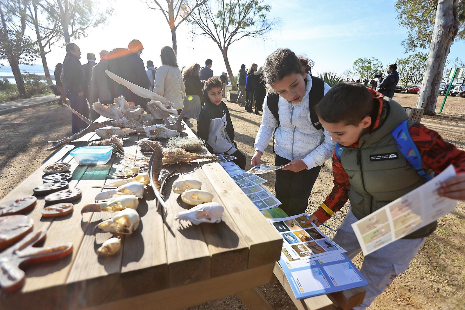 Imágenes de la visita al programa de divulgación ambiental 'Mi Marisma, Mi Escuela', de la Fundación Atlantic Copper.en Marismas del Odiel