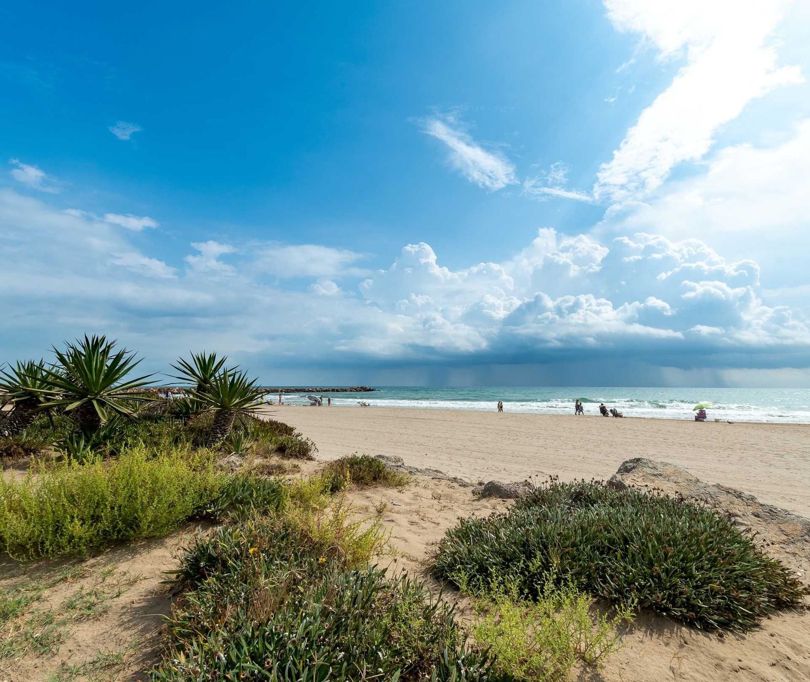 Playa (13)
