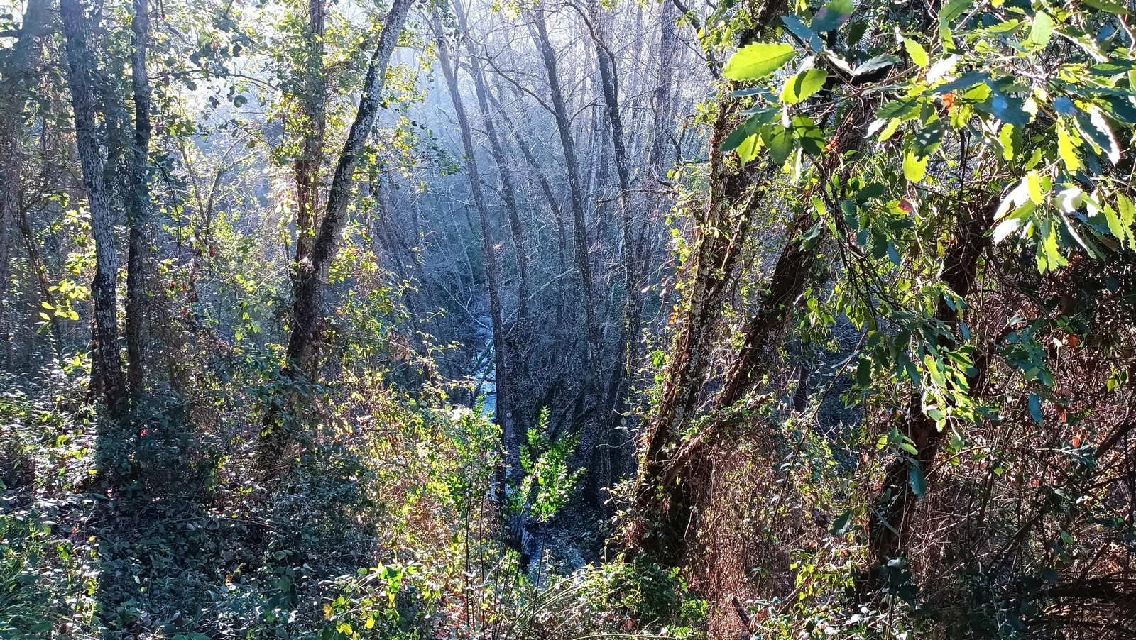 Vistas del valle: abajo, el río Jabugo