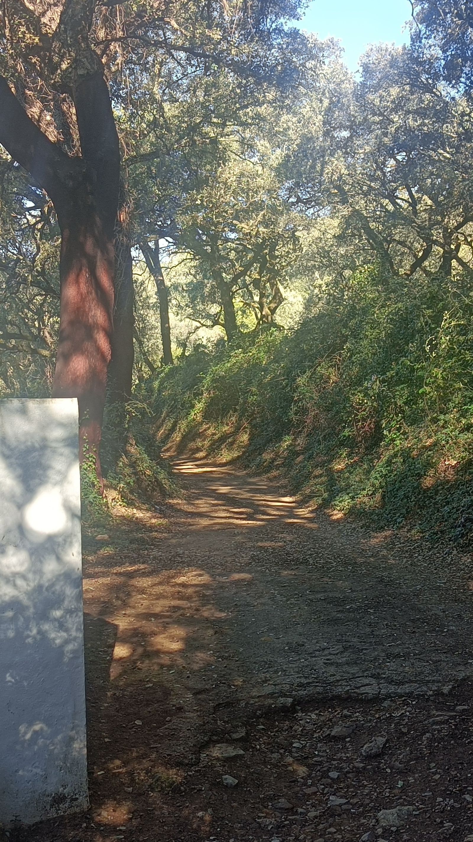 Junto a la ermita parte el camino que nos acercará a Galaroza.