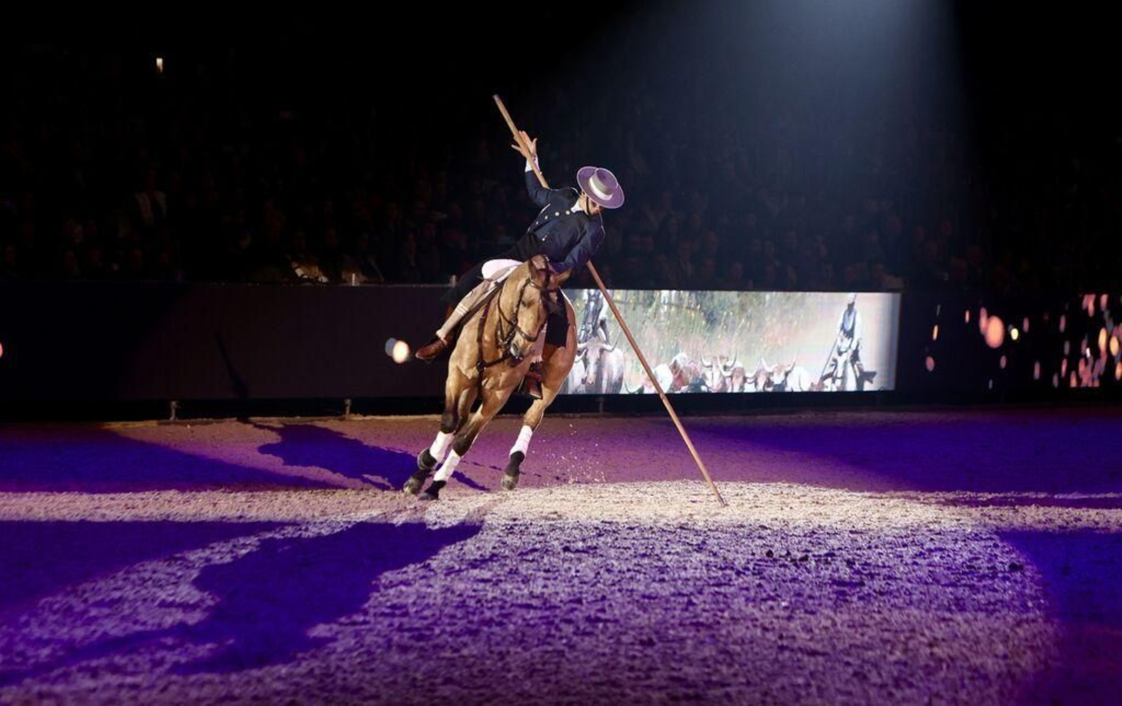 Imagen principal de SICAB