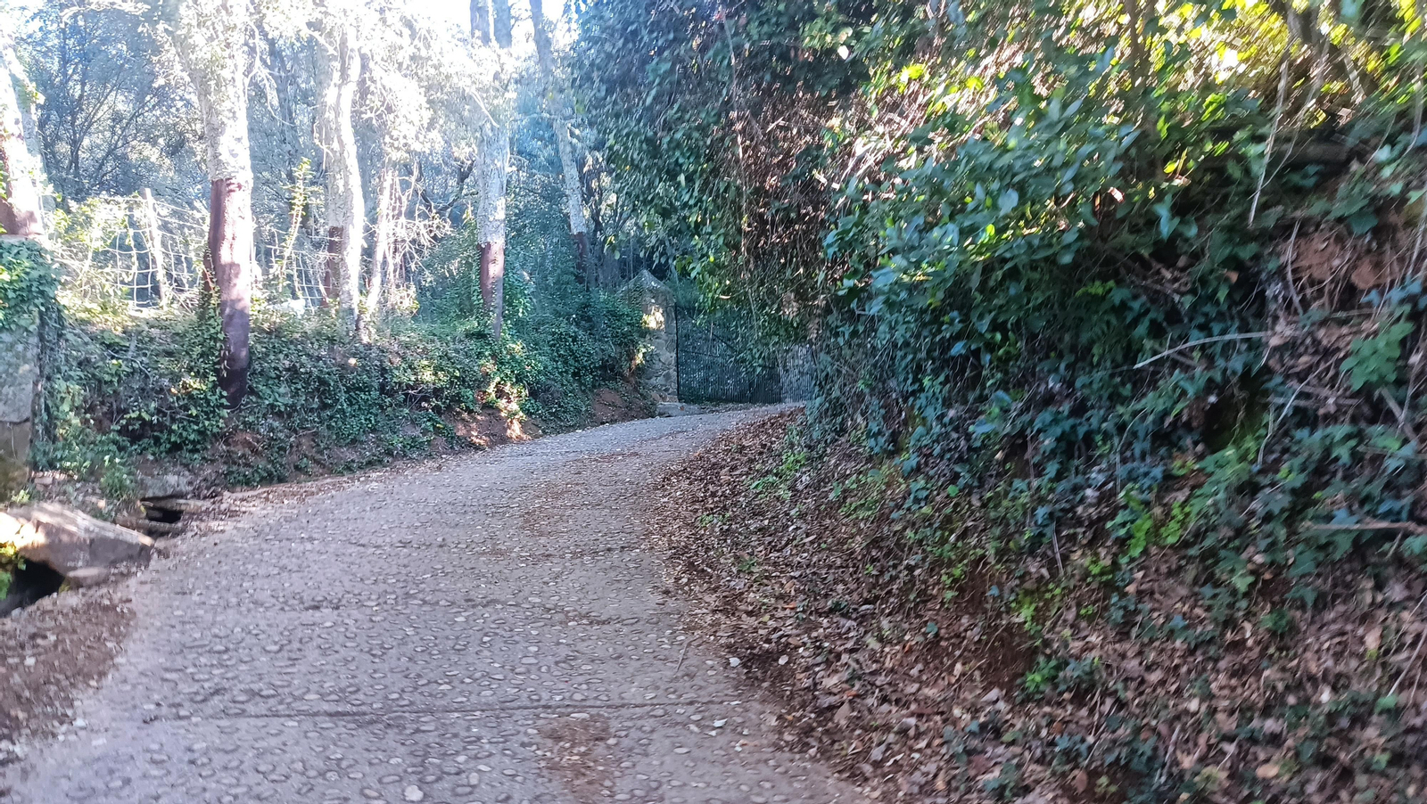Al acercarnos a Castaño del Robledo., el sendero es de hormigón.