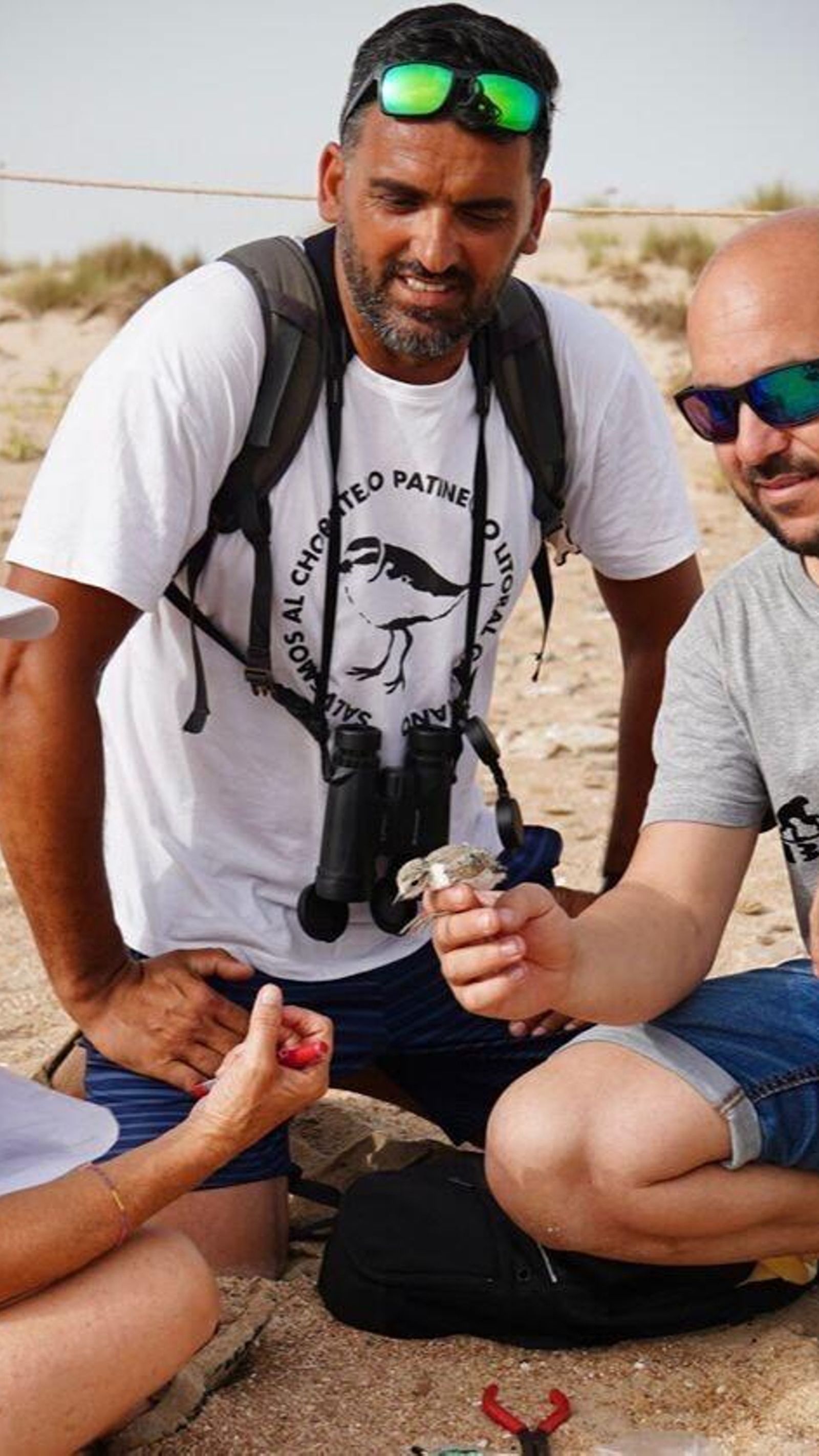 Un grupo de anilladores, con dos ejemplares, en la zona de cría de Cortadura.