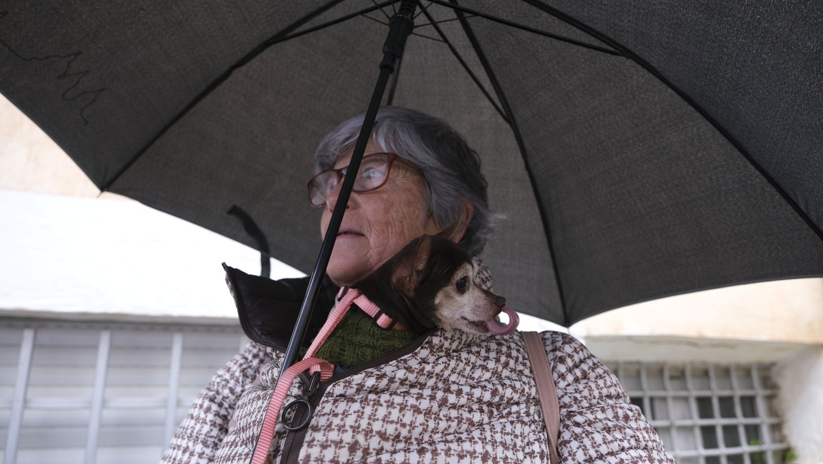 Imágenes de las Fiestas de San Sebastián, en Lubrín