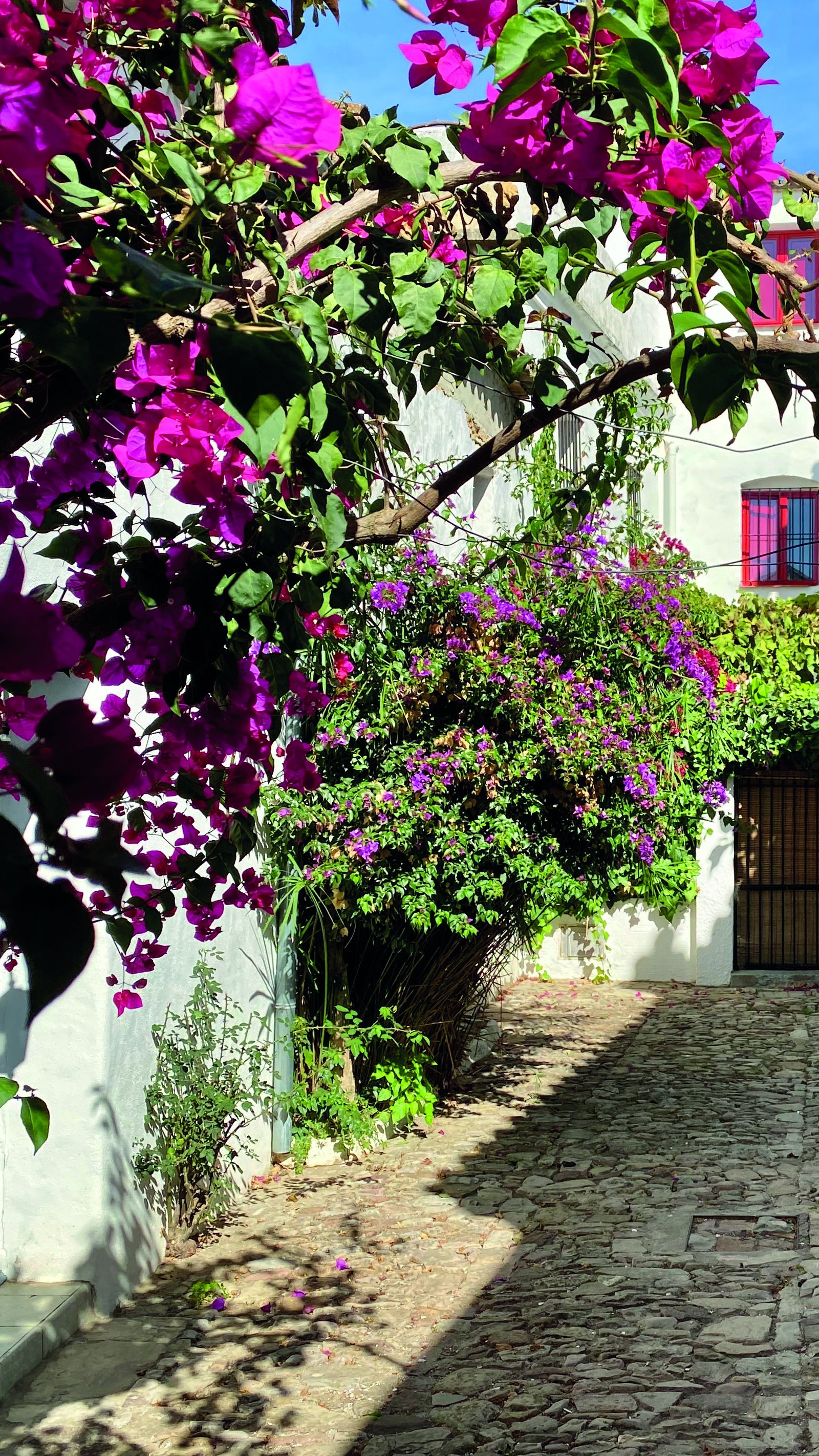 Una de las calles típicas de Castellar de la Frontera.