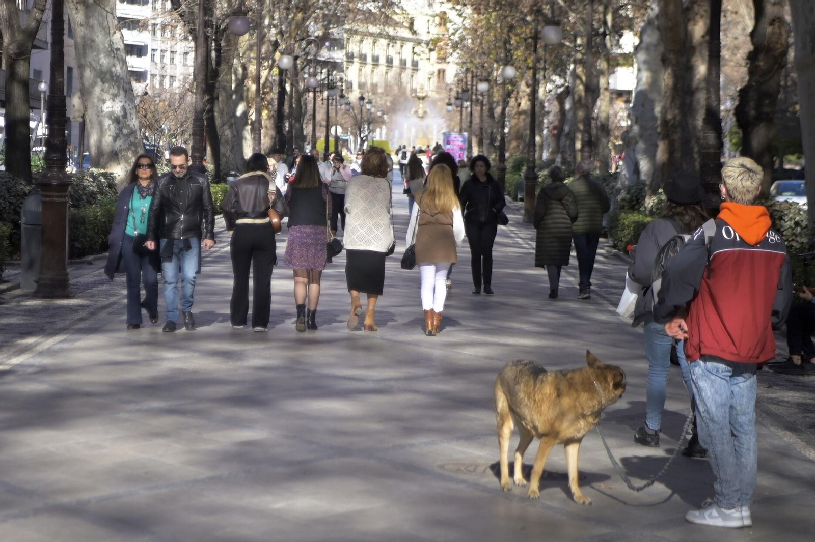 Estado de Gran Vïa hace unos días.