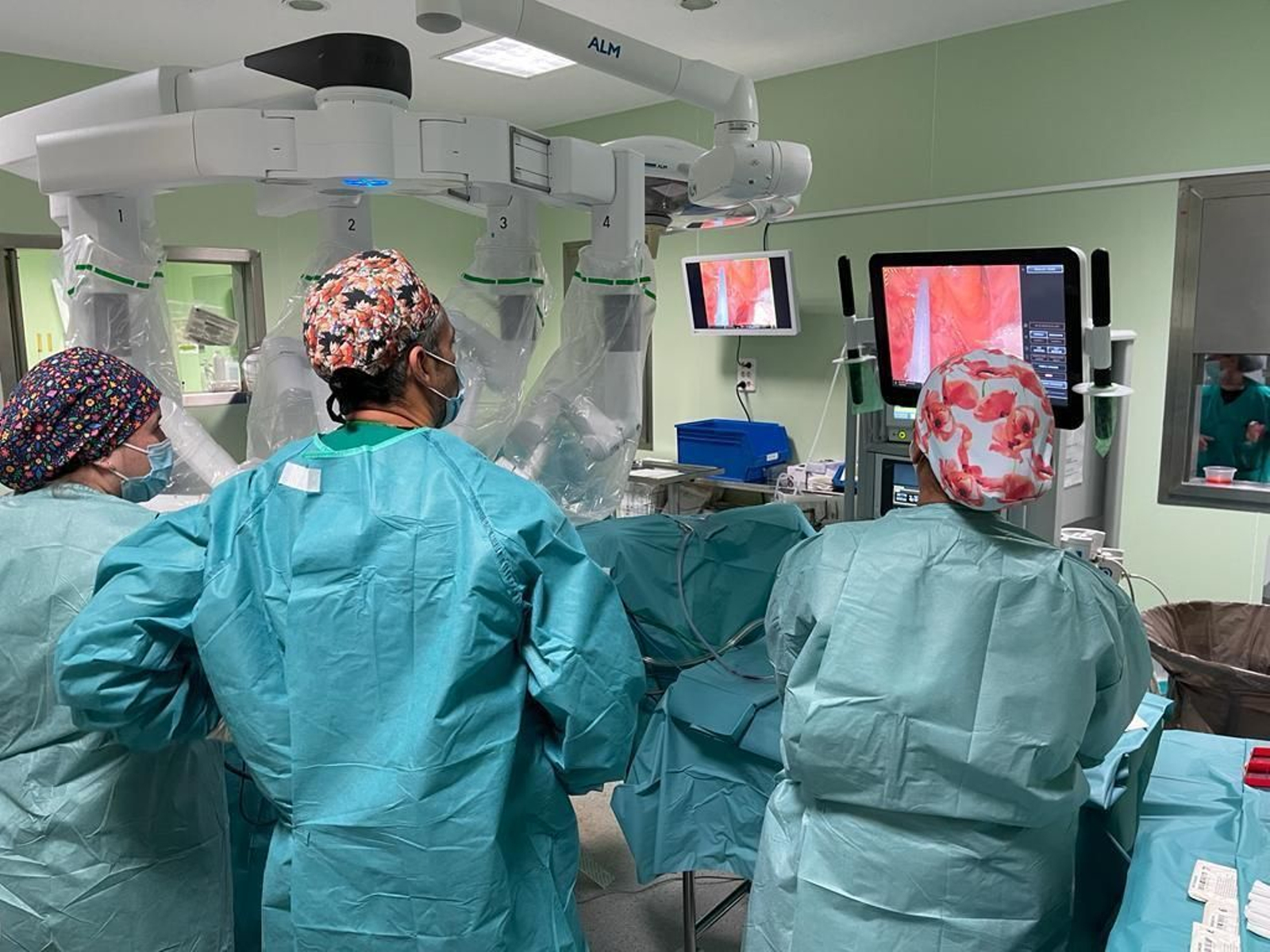 Profesionales sanitarios, durante una intervención.