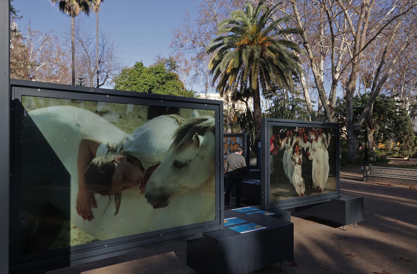 La exposición 'Colores del Mundo' del parque María Cristina de Algeciras, en imágenes