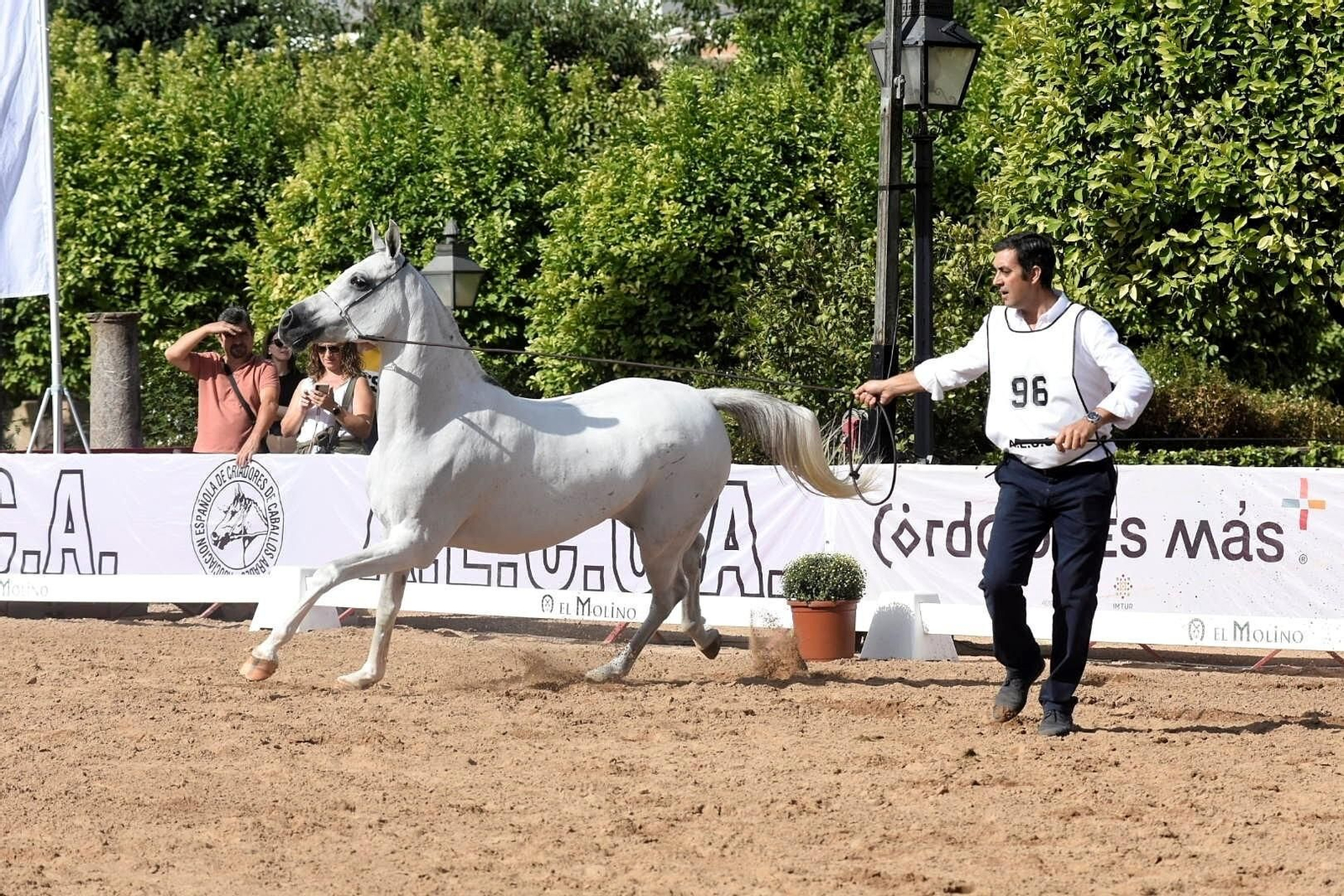 Una de las citas del Otoño del Caballo del año pasado.