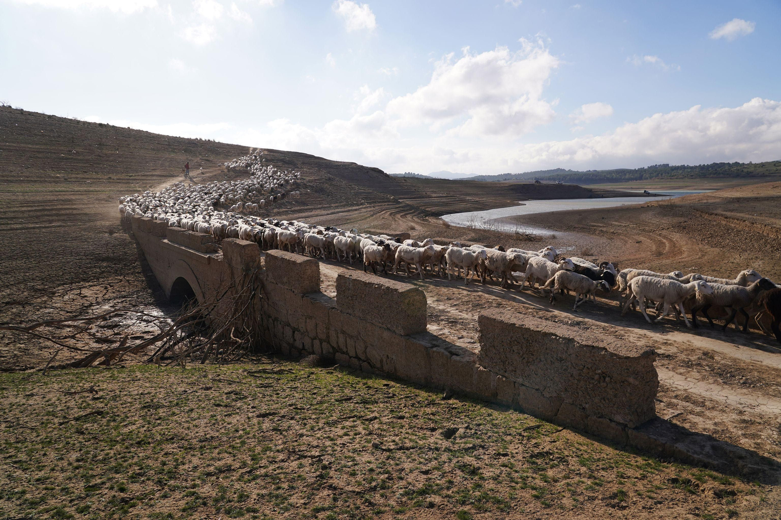 Los efectos de la sequía en el pantano de Guadalteba, en fotos