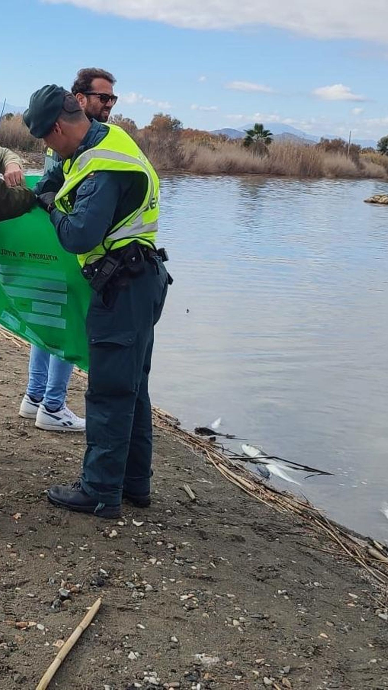 Agentes de Medio Ambiente y Guardia Civil recogen muestras en la zona donde han aparecido los peces muertos.