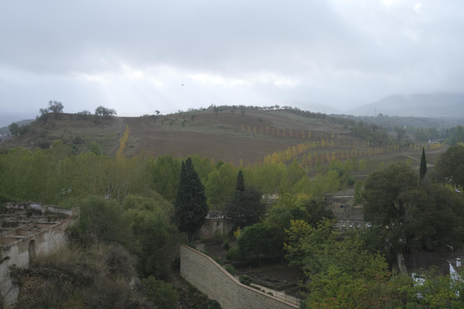 Paraje por el que se proyecta que discurra el futuro vial alternativo.