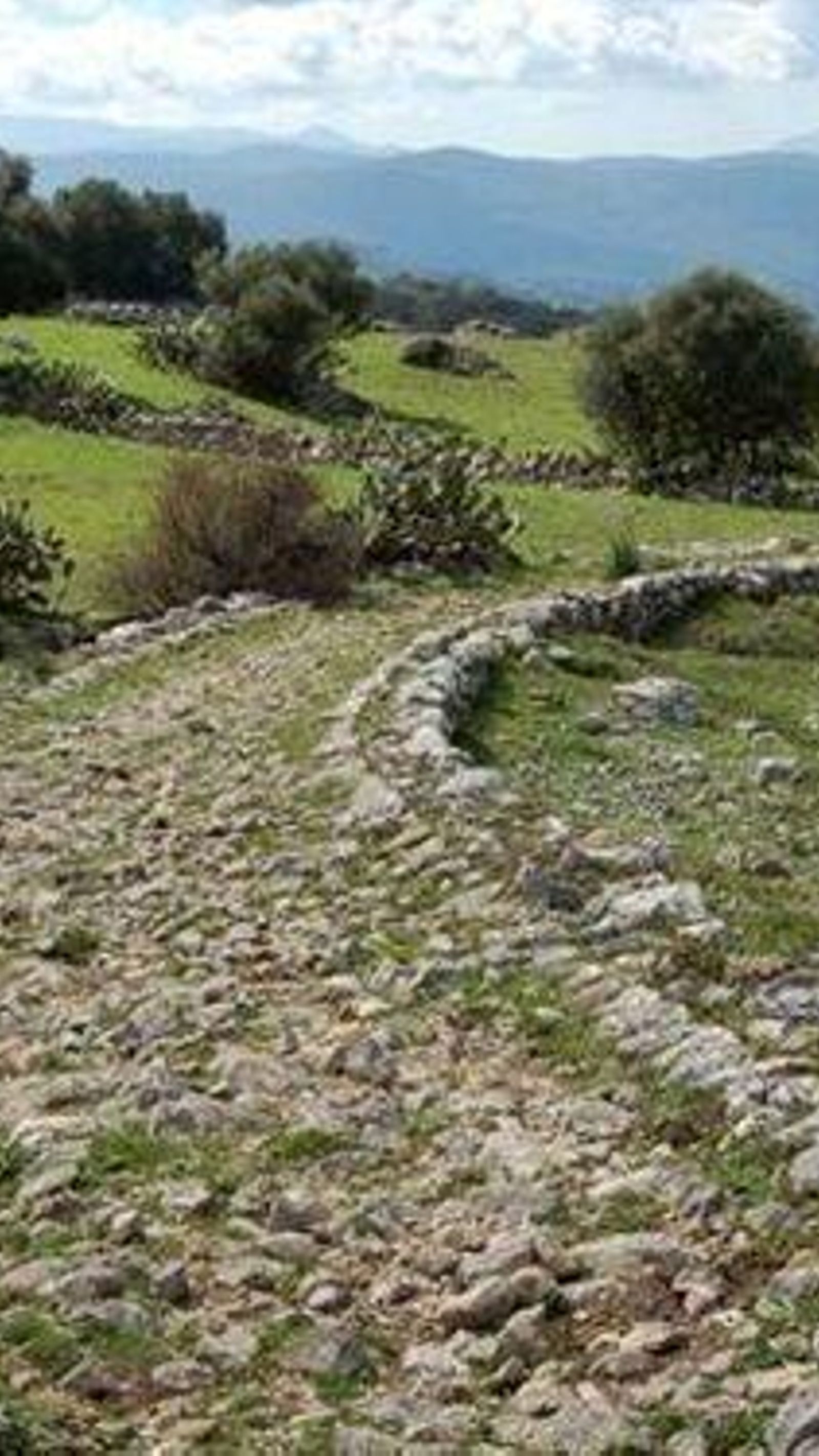 Tramo calzada romana