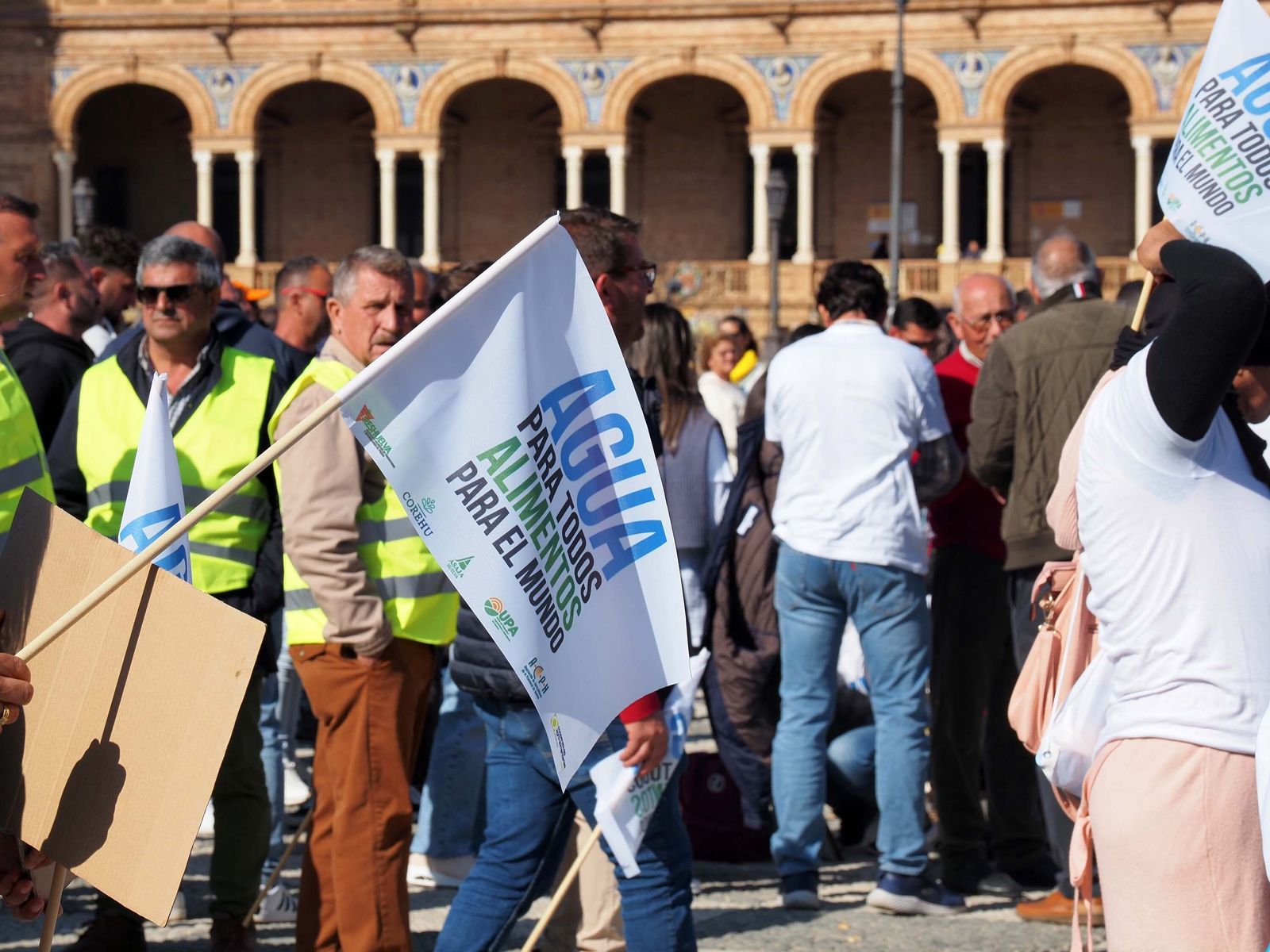 Las mejores imágenes de la manifestación de los agricultores de Huelva en Sevilla