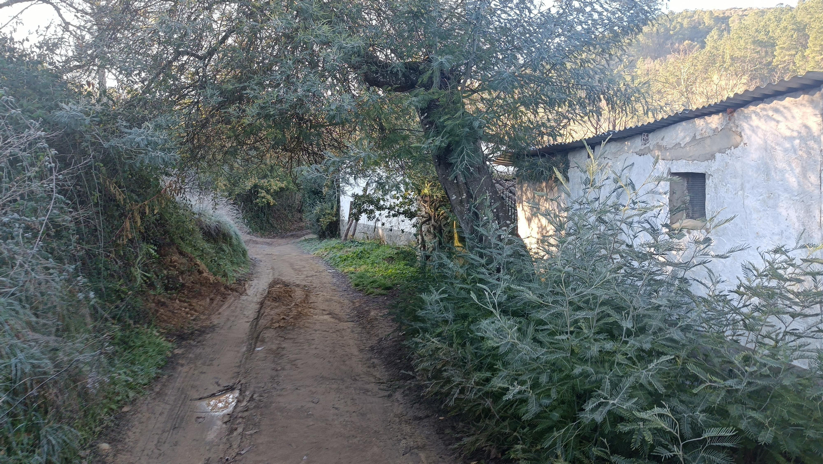 Hay algunas casas junto al camino.