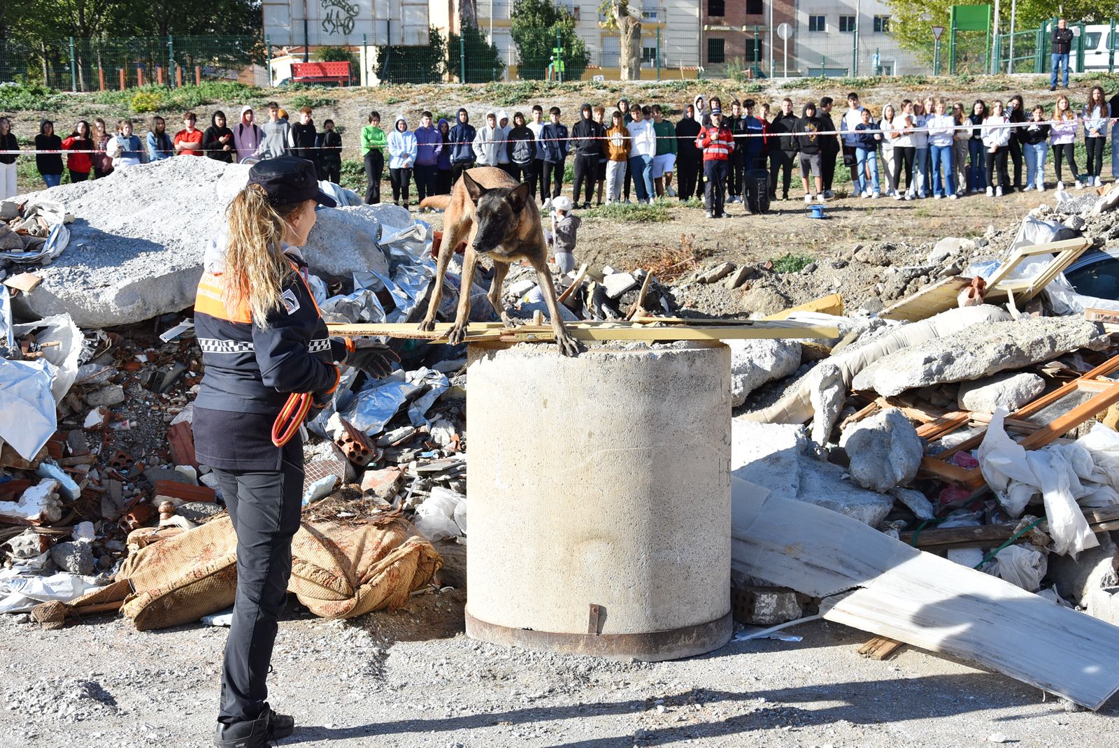 Los perros de rescate demuestran su efectividad en las I Jornadas Cinológicas de Baza