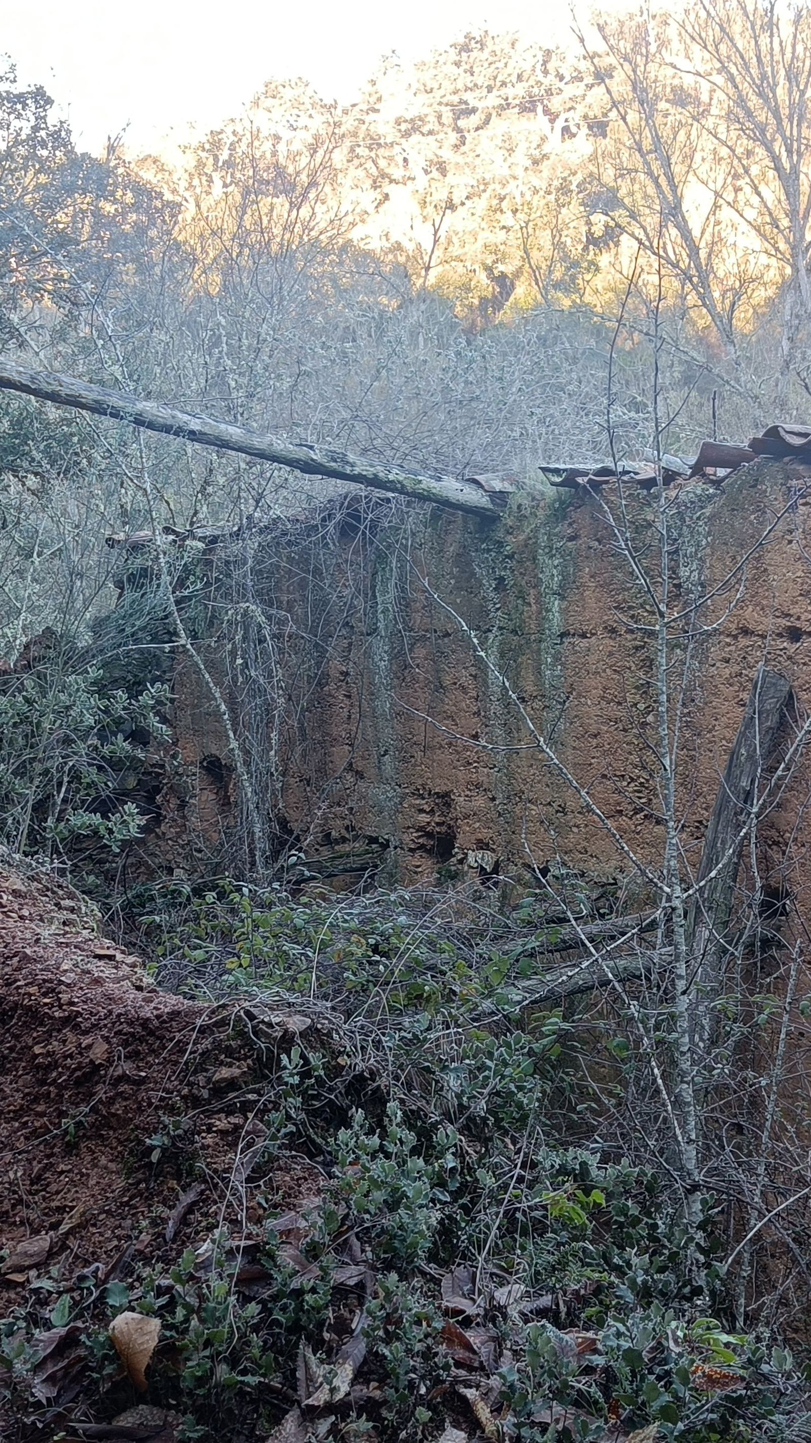 Veremos las ruinas de algunos edificios.