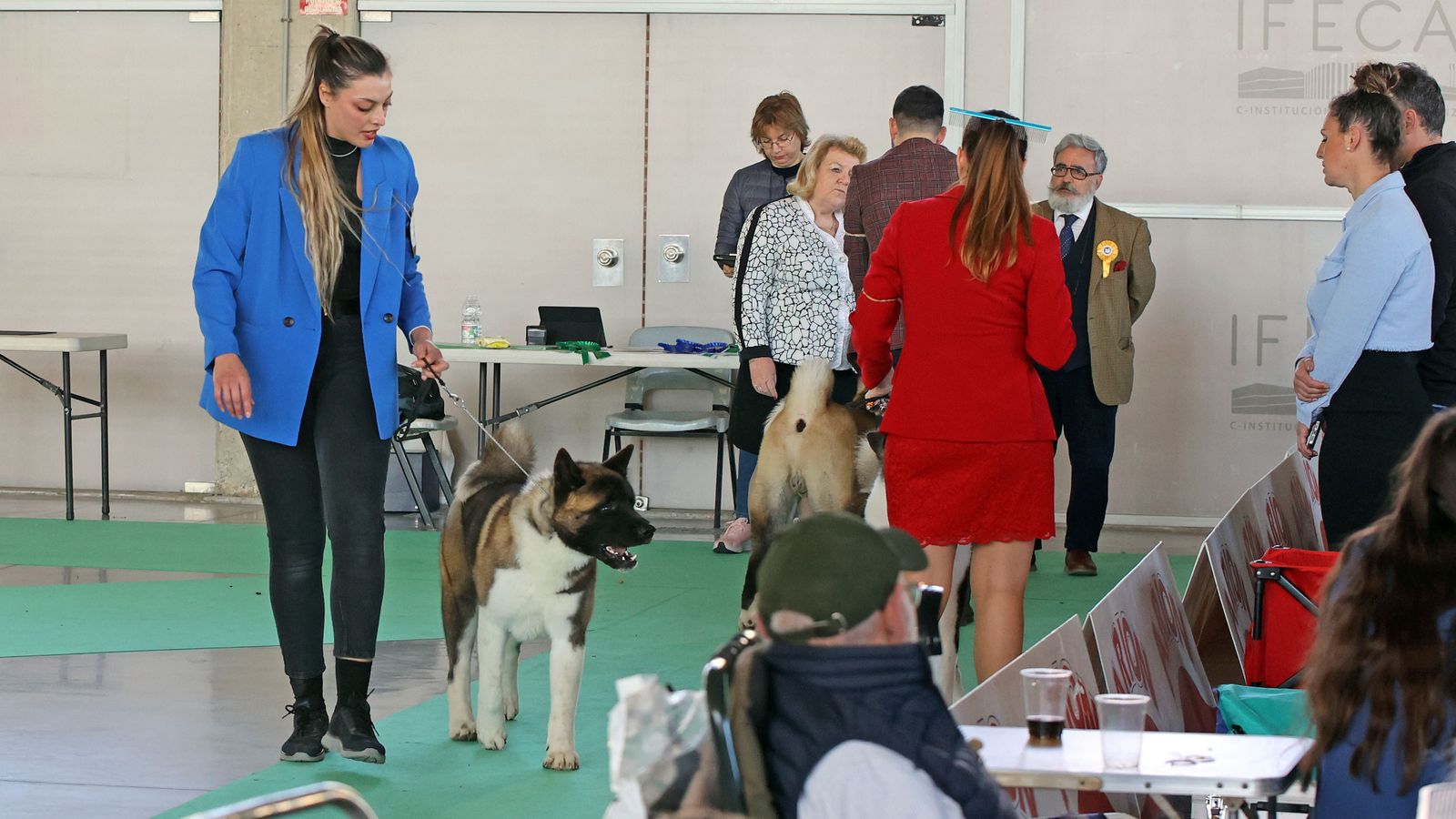 Imágenes de la 49ª edición de la Exposición Nacional Canina y la 25ª edición de la Exposición Internacional Canina en IFECA Jerez