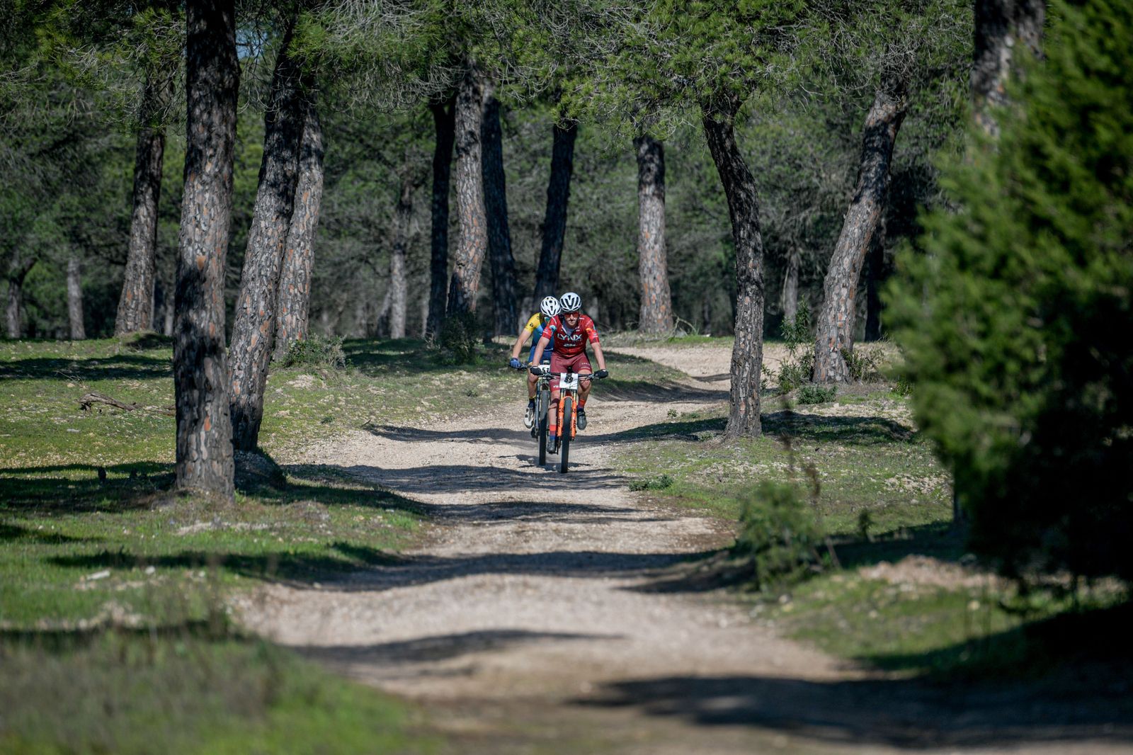 Las imágenes de la tercera etapa de La Leyenda de Tartessos by Alé