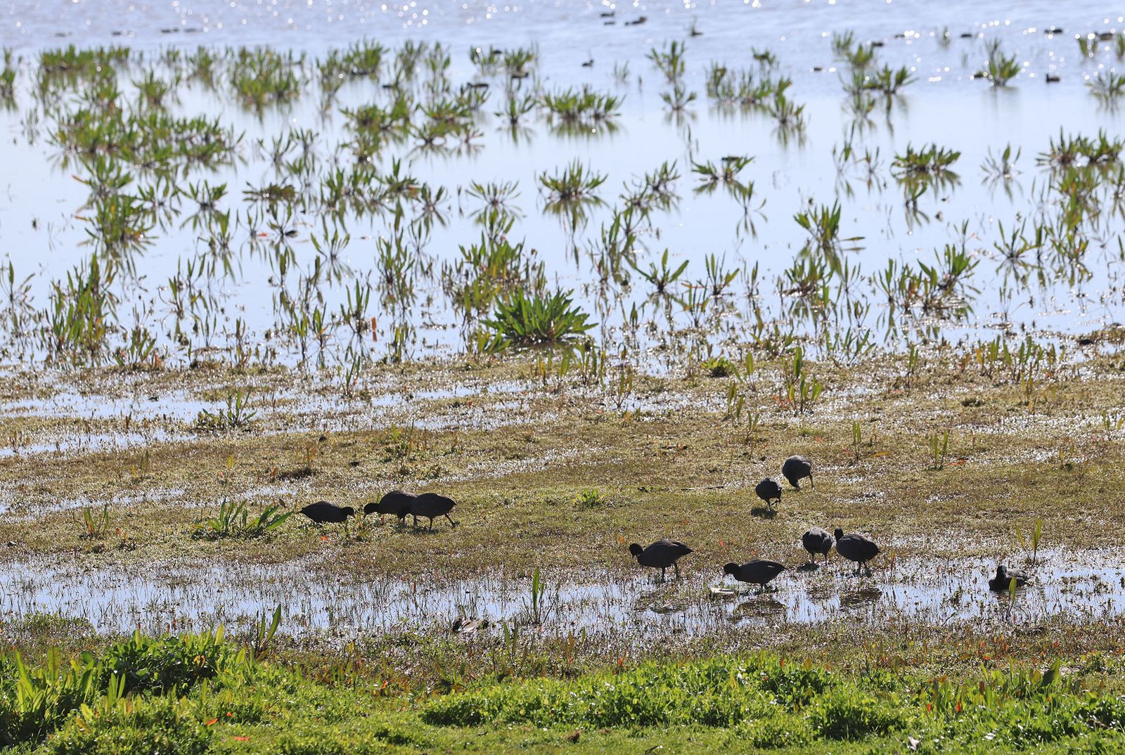Las imágenes más destacadas del sábado 3 de febrero en Huelva