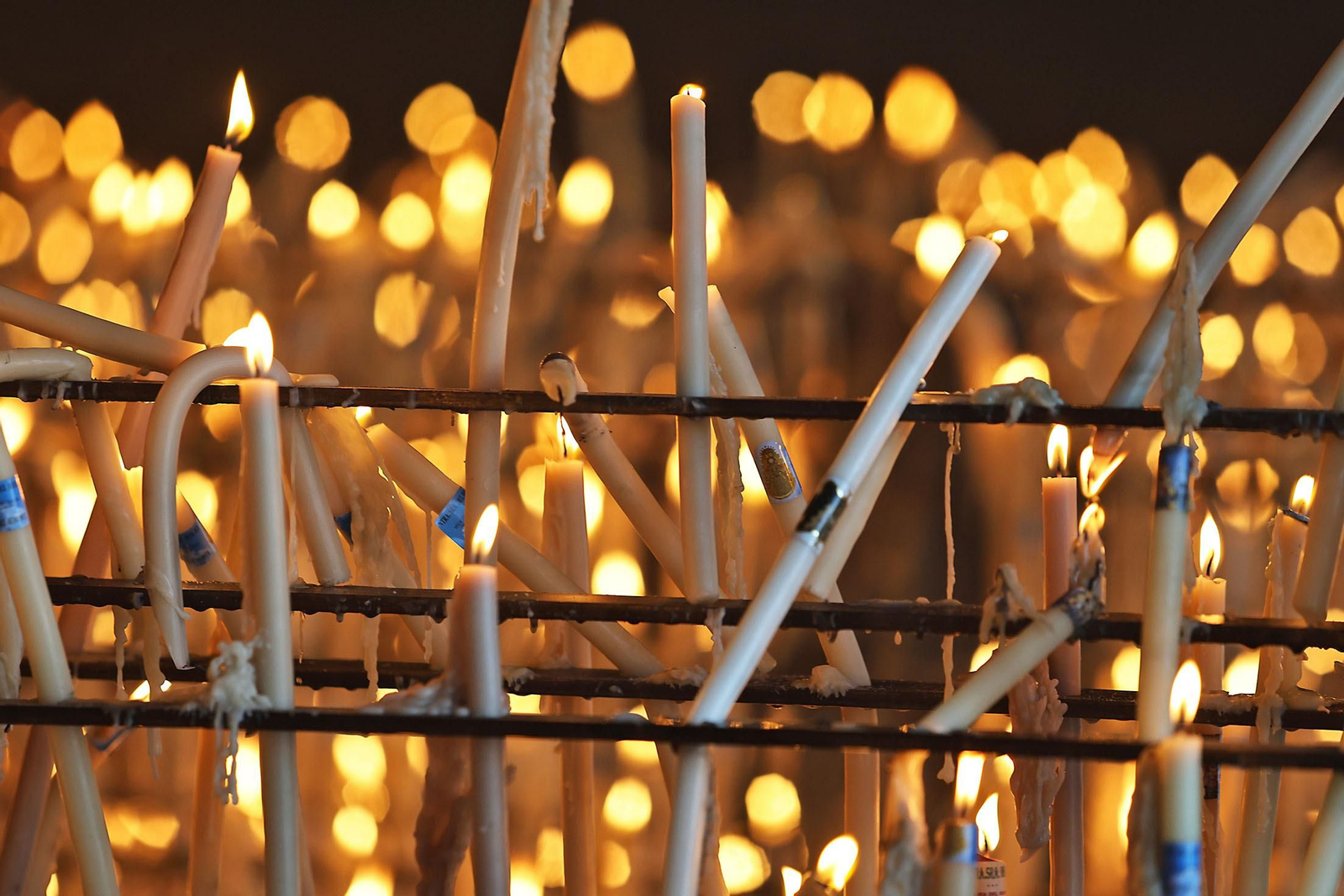 Imágenes del ambiente en la aldea del Rocío en la Candelaria 2024