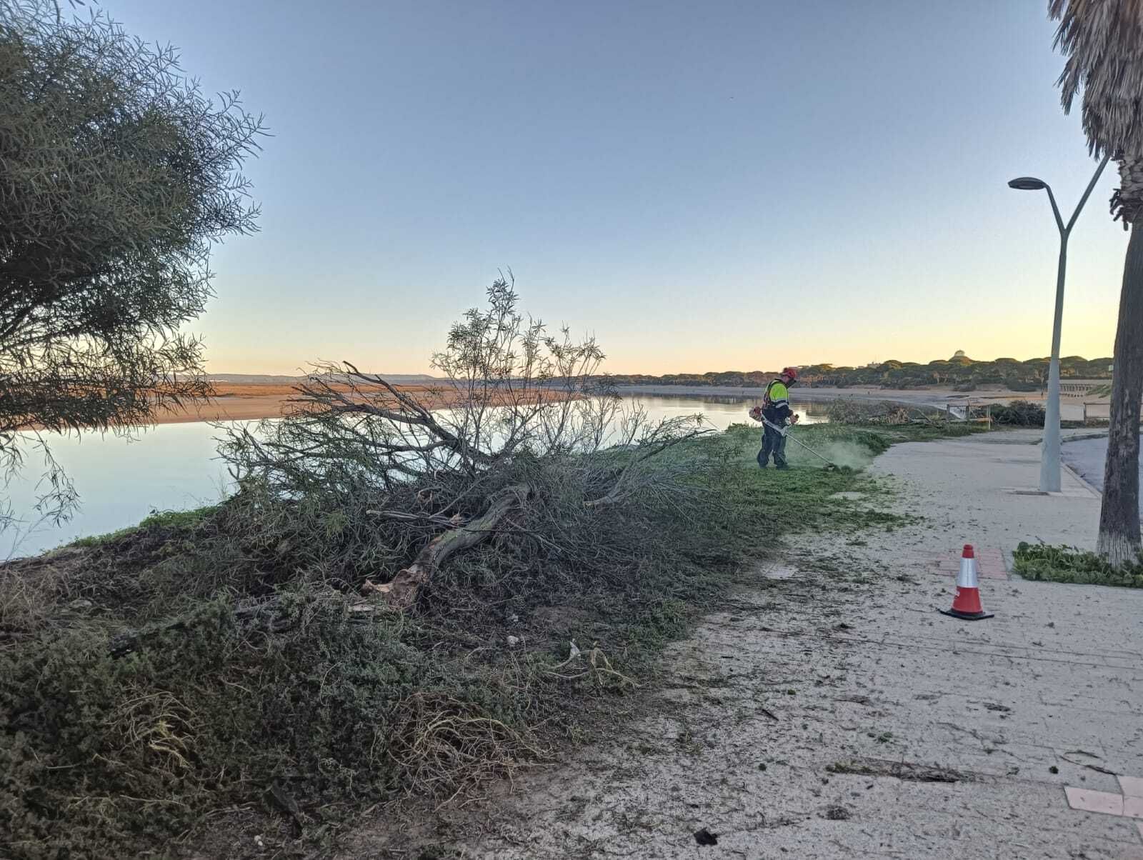 Limpieza del borde litoral del Río San Pedro