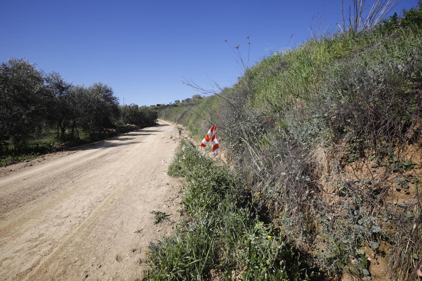 Camino donde fue hallado el cuerpo de Alfonso Copado en Villaviciosa de Córdoba.