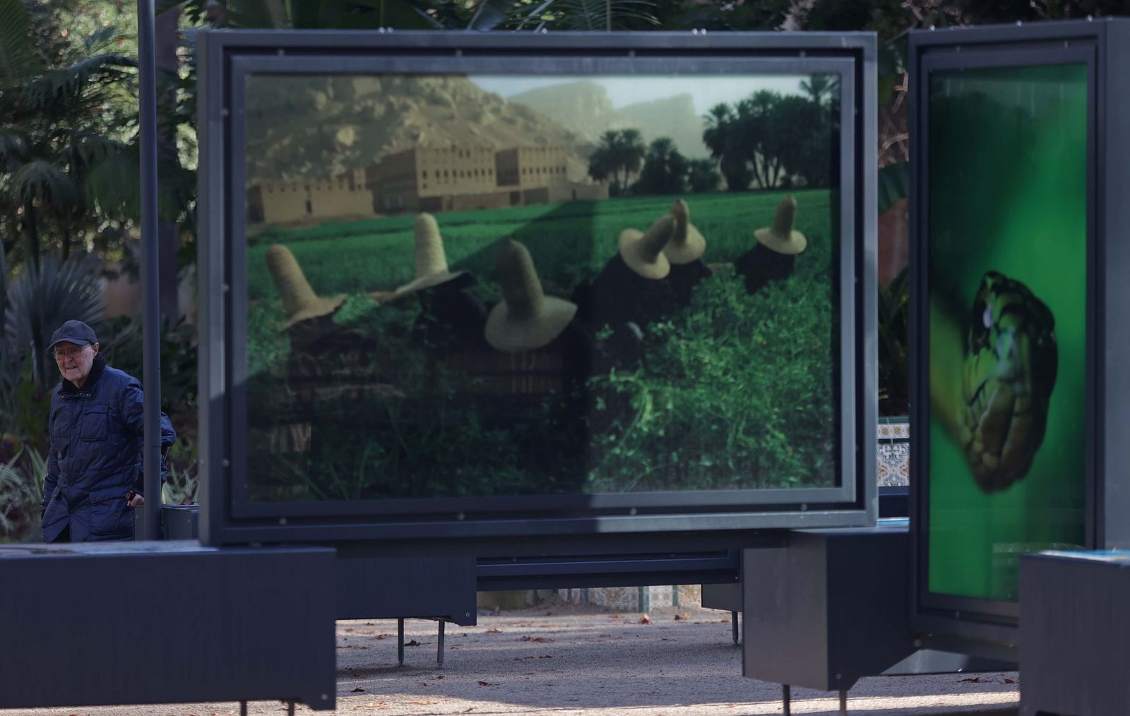 La exposición 'Colores del Mundo' del parque María Cristina de Algeciras, en imágenes