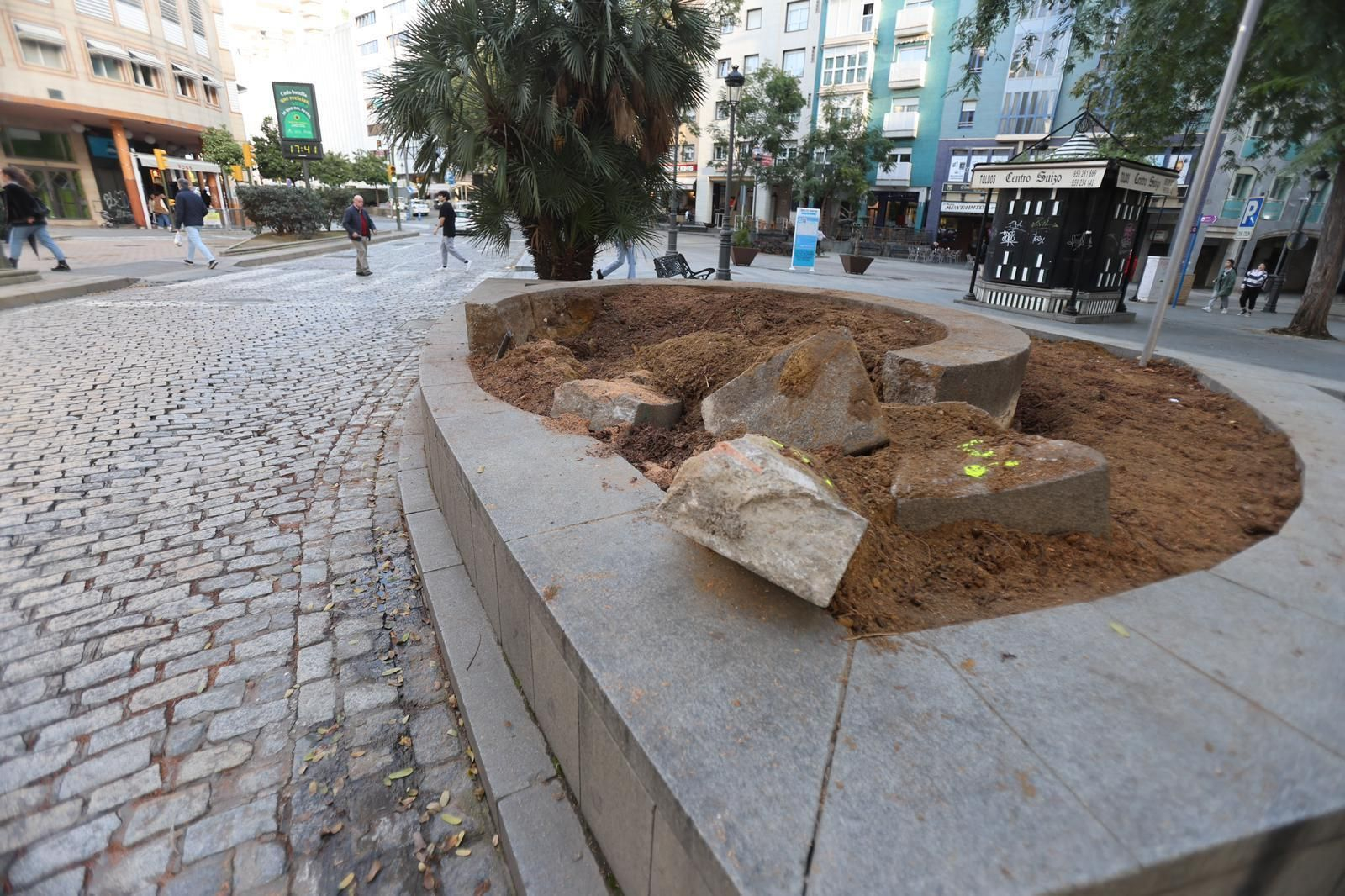 Parterre ya sin tocón.