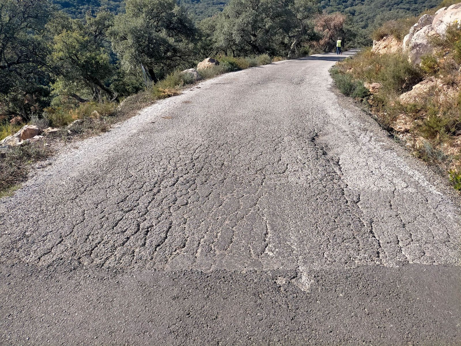 La pista forestal entre Cortes  y El Colmenar que arreglará la Diputación de Málaga