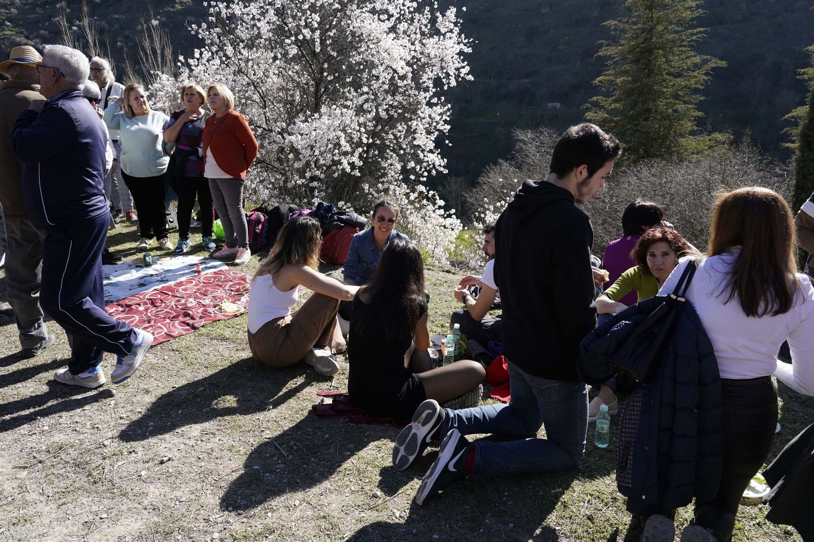 La romería de San Cecilio, en imágenes