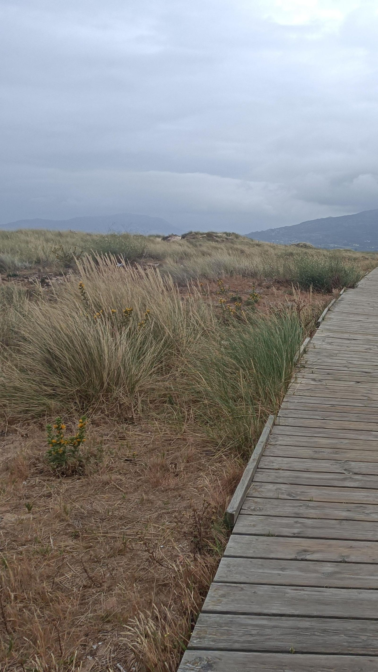 En esta zona hay que respetar al máximo la zona protegida.