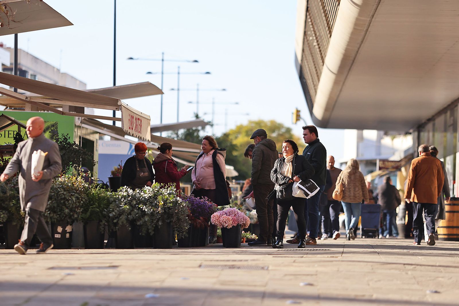Las imágenes más destacadas del jueves 1 de febrero en Huelva