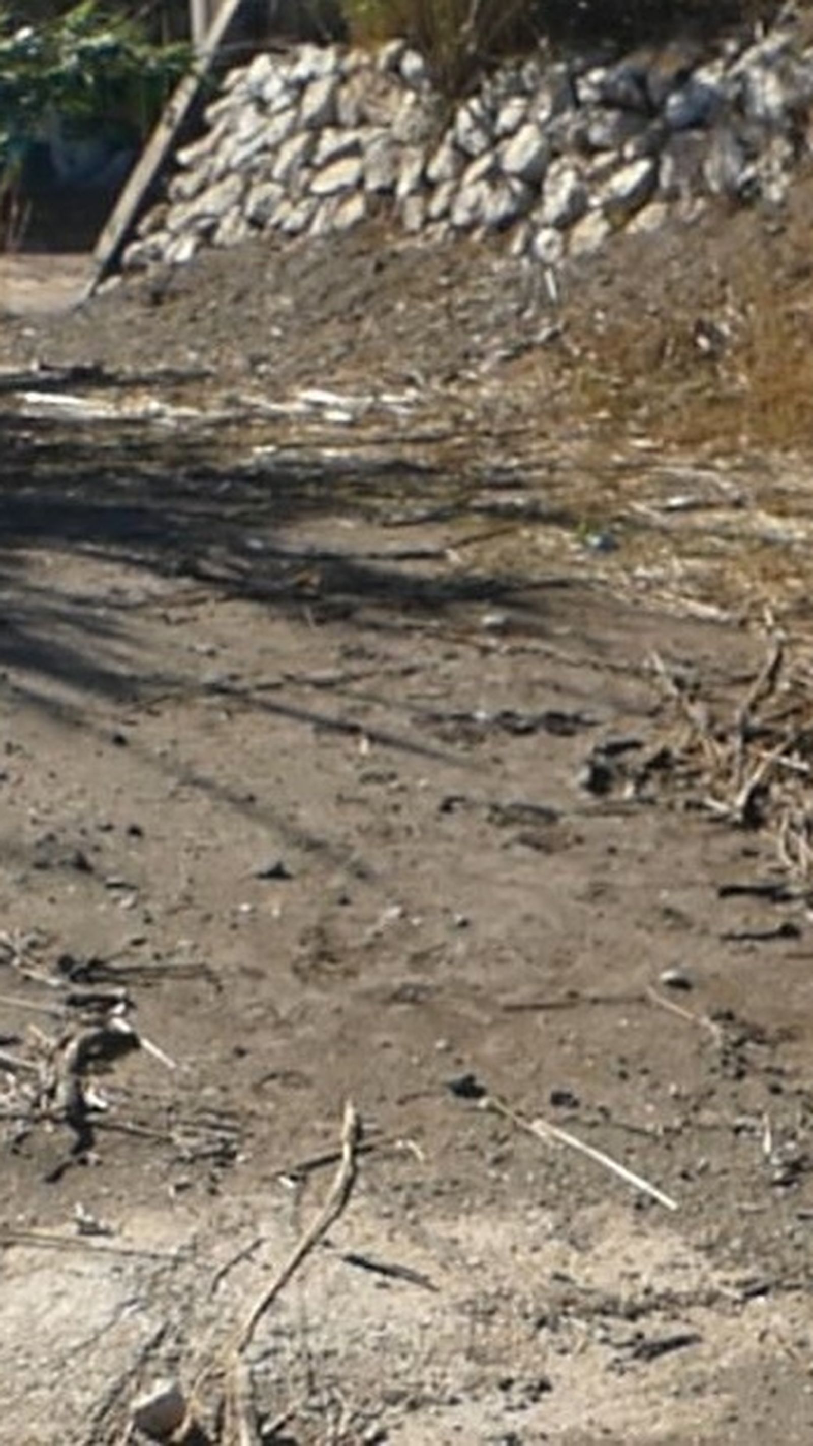 Arroyo donde fue hallado el cuerpo sin vida de la víctima.