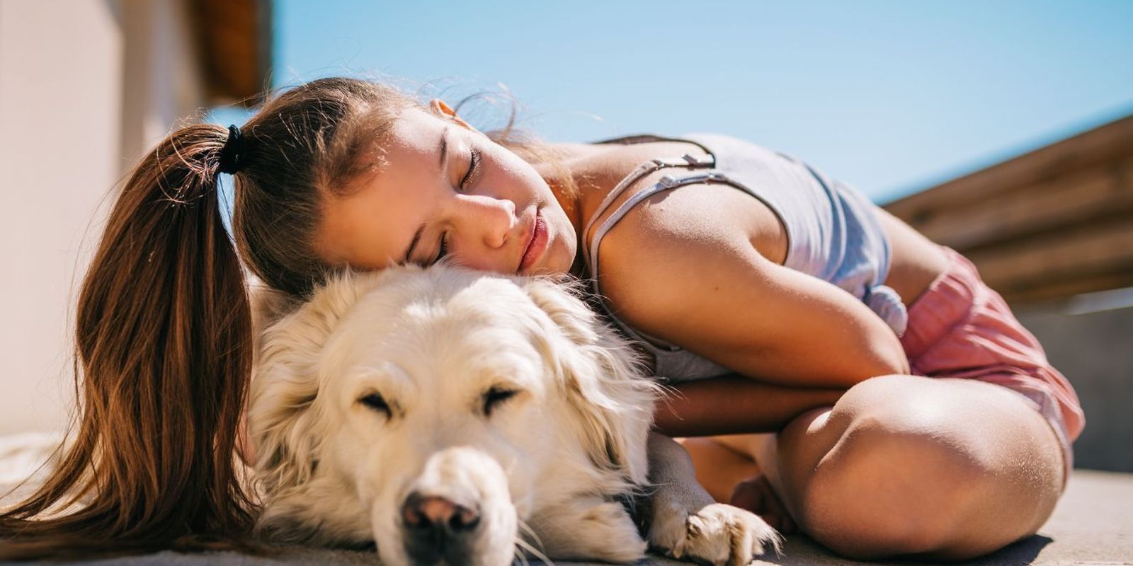 Las terapias asistidas con perros reducen un 60% la medicación de los pacientes con depresión