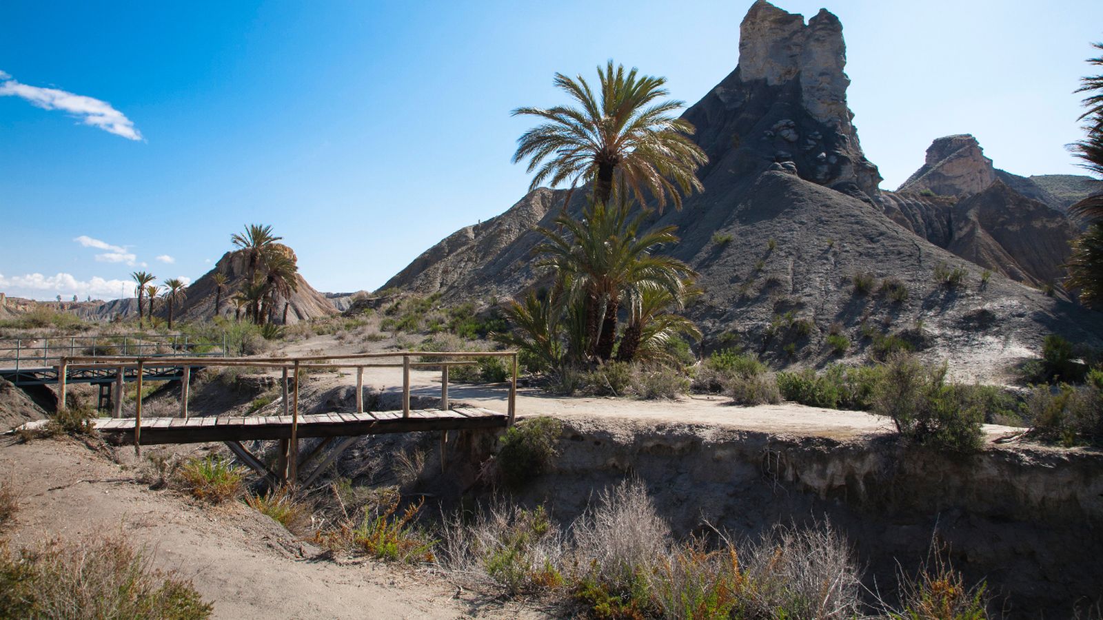 Oasis de Rambla Viciana