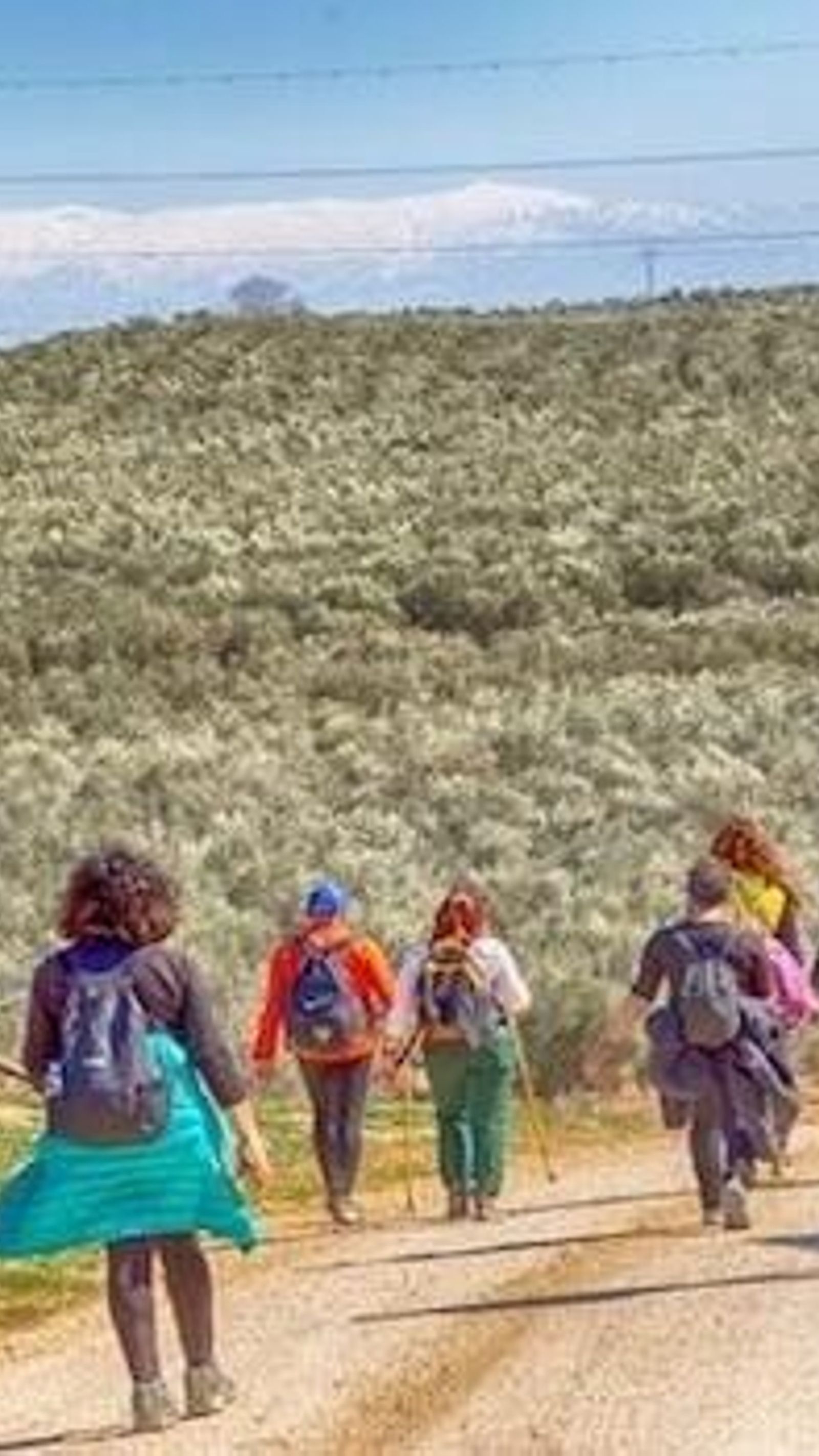 Una de las etapas del Camino de Santiago andaluz.