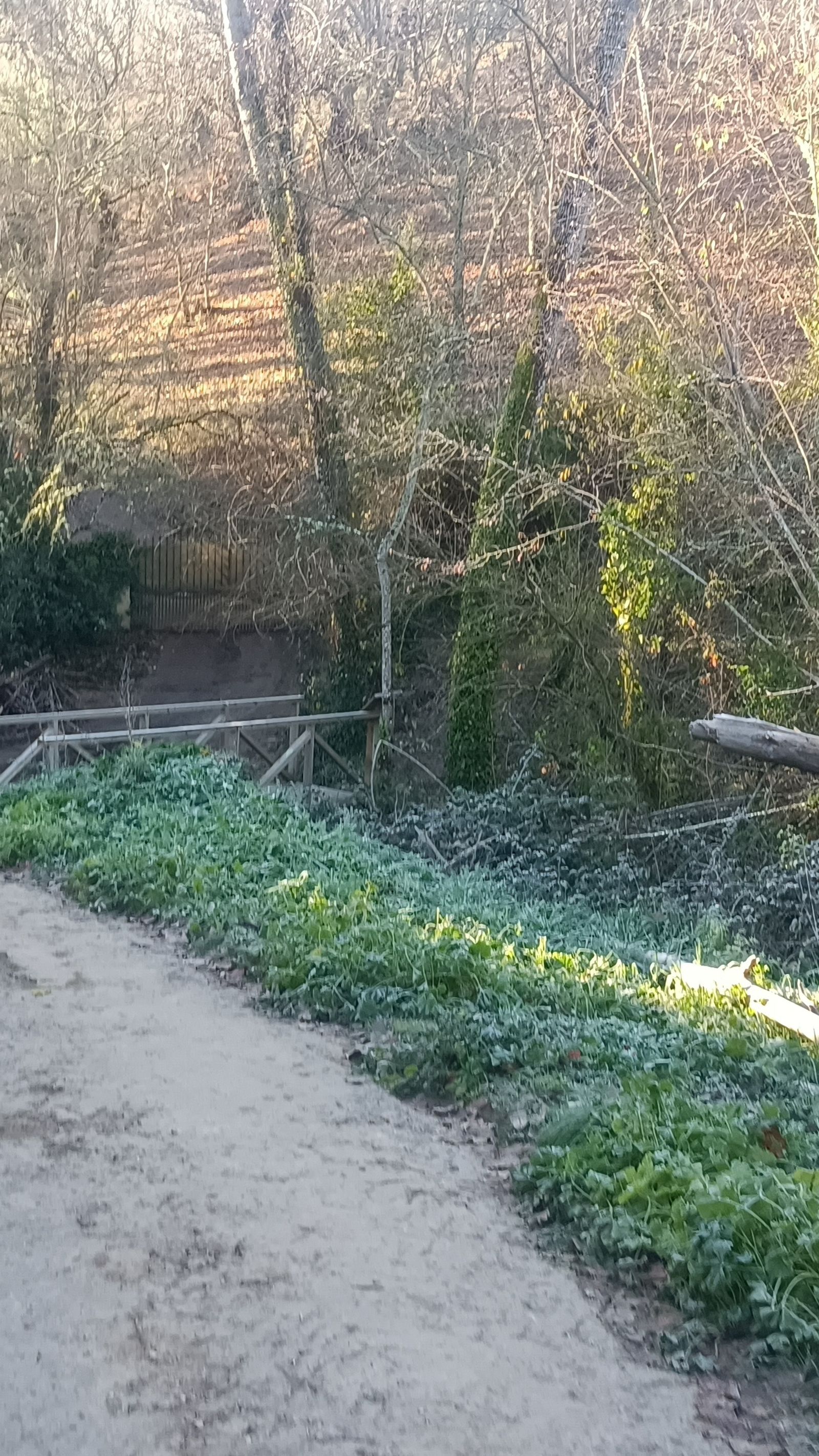 Cruzamos el río Múrtiga por un puente de madera.