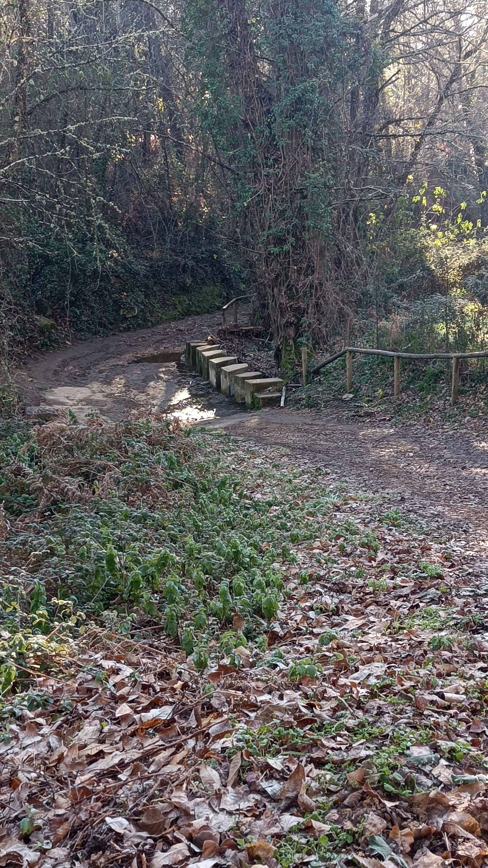 Un paso para vadear el río.