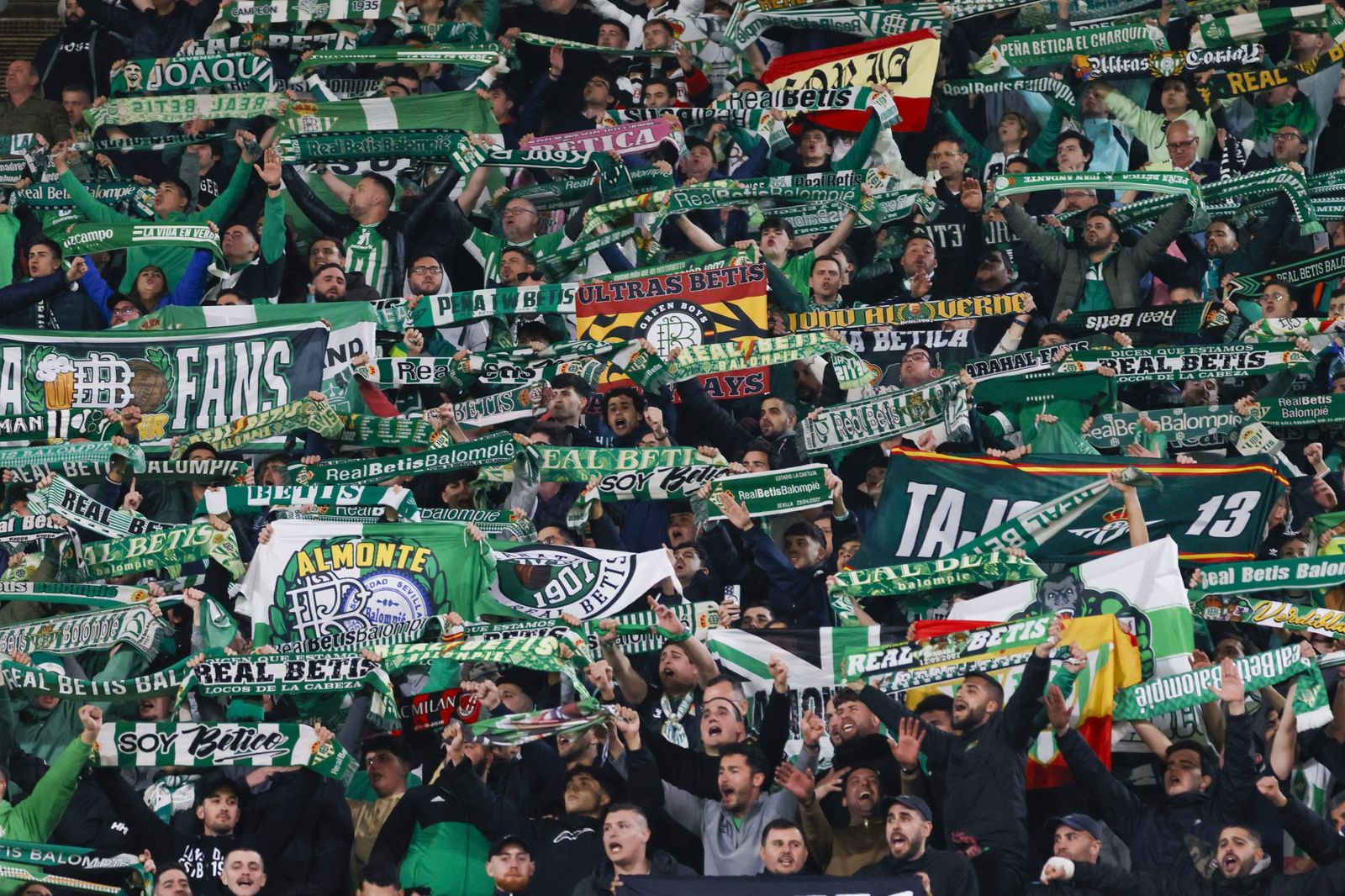 Las mejores fotos del Mallorca - Betis