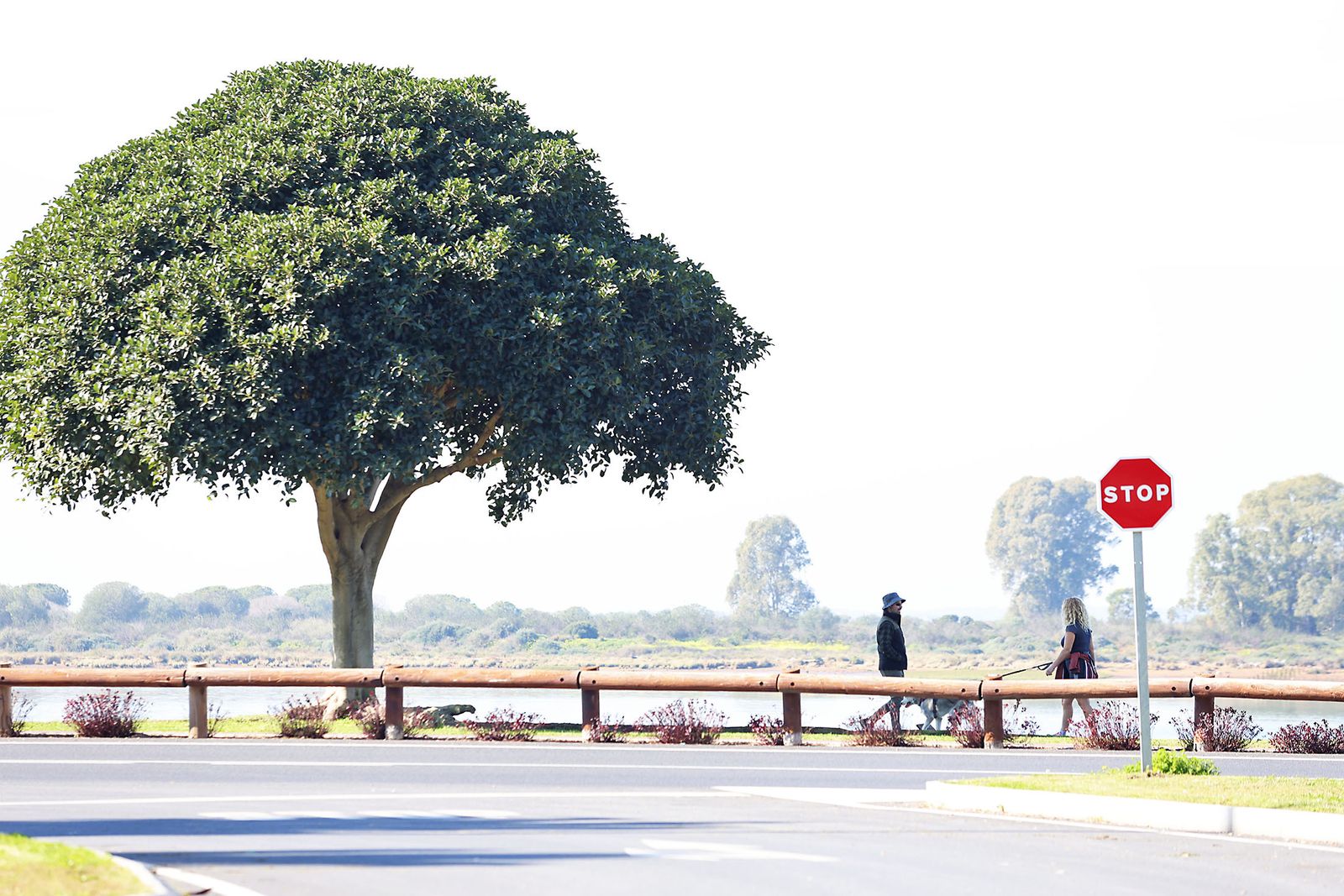 Las imágenes más destacadas del viernes 2 de febrero en Huelva