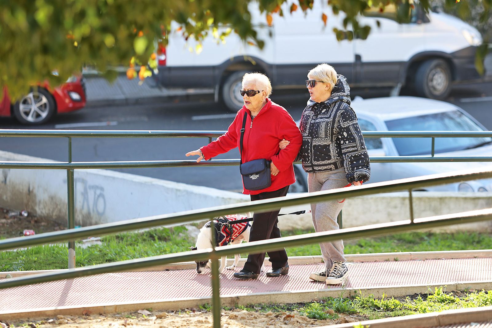 Las imágenes más destacadas del martes 30 de enero en Huelva