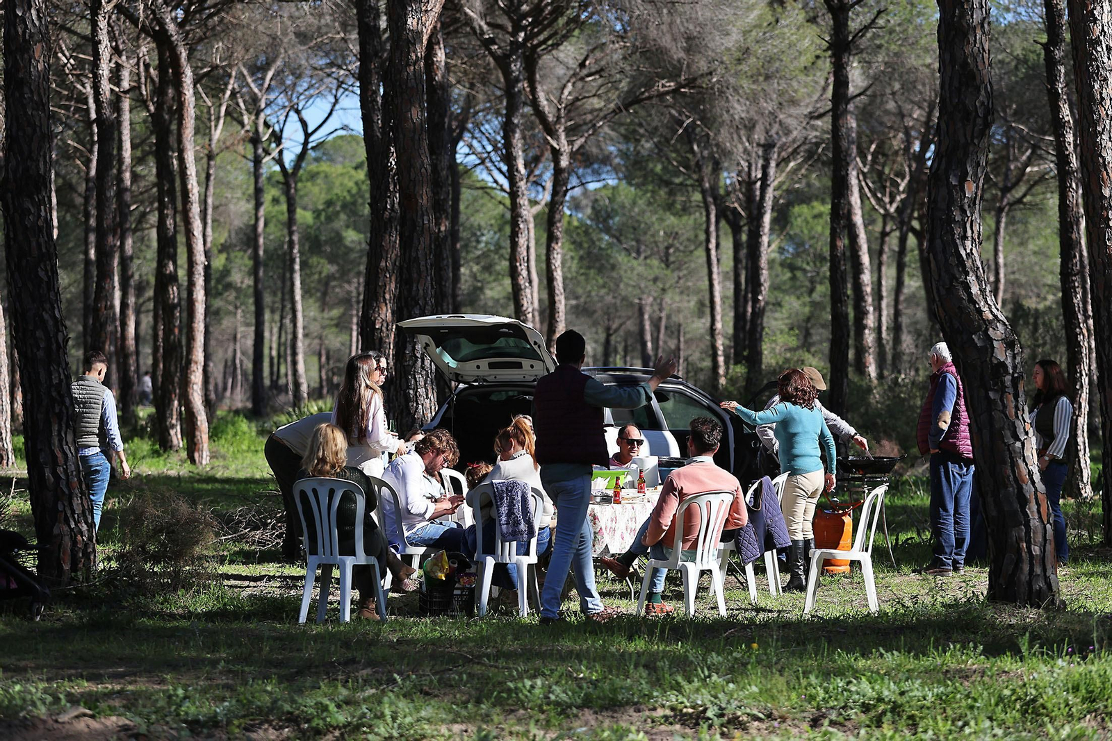 Candelaria 2024: Imágenes de la multitudinaria convivencia en el Pastorcito