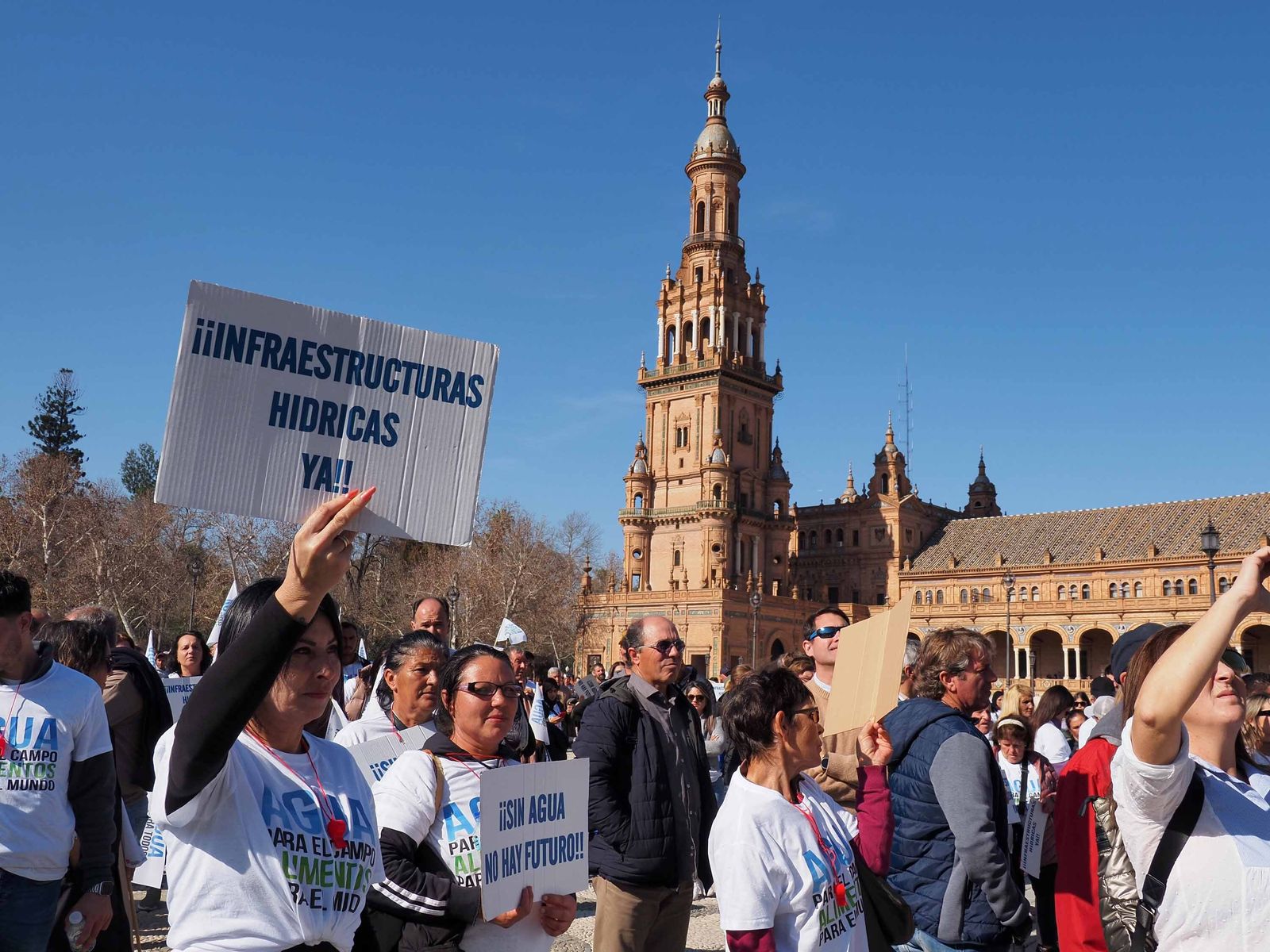 Las mejores imágenes de la manifestación de los agricultores de Huelva en Sevilla