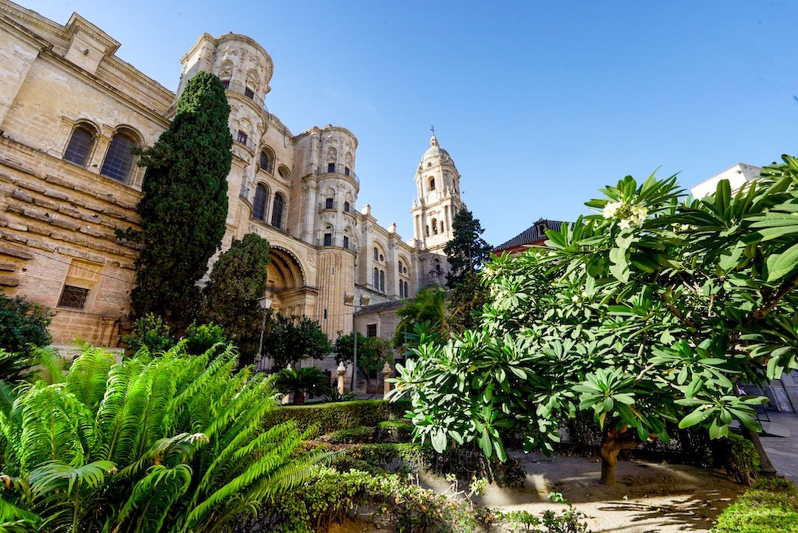 andalucia malaga catedral lateral