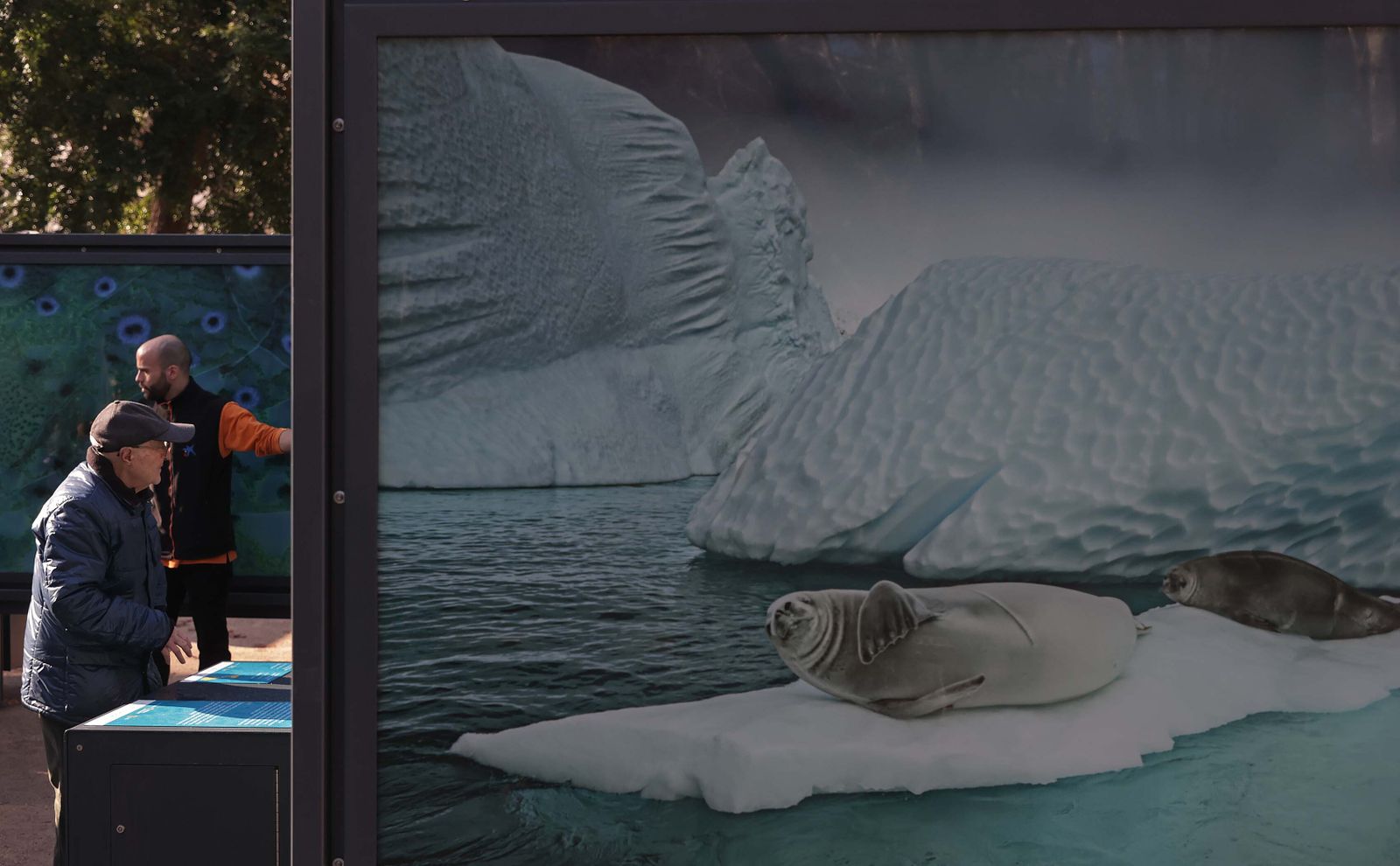 La exposición 'Colores del Mundo' del parque María Cristina de Algeciras, en imágenes