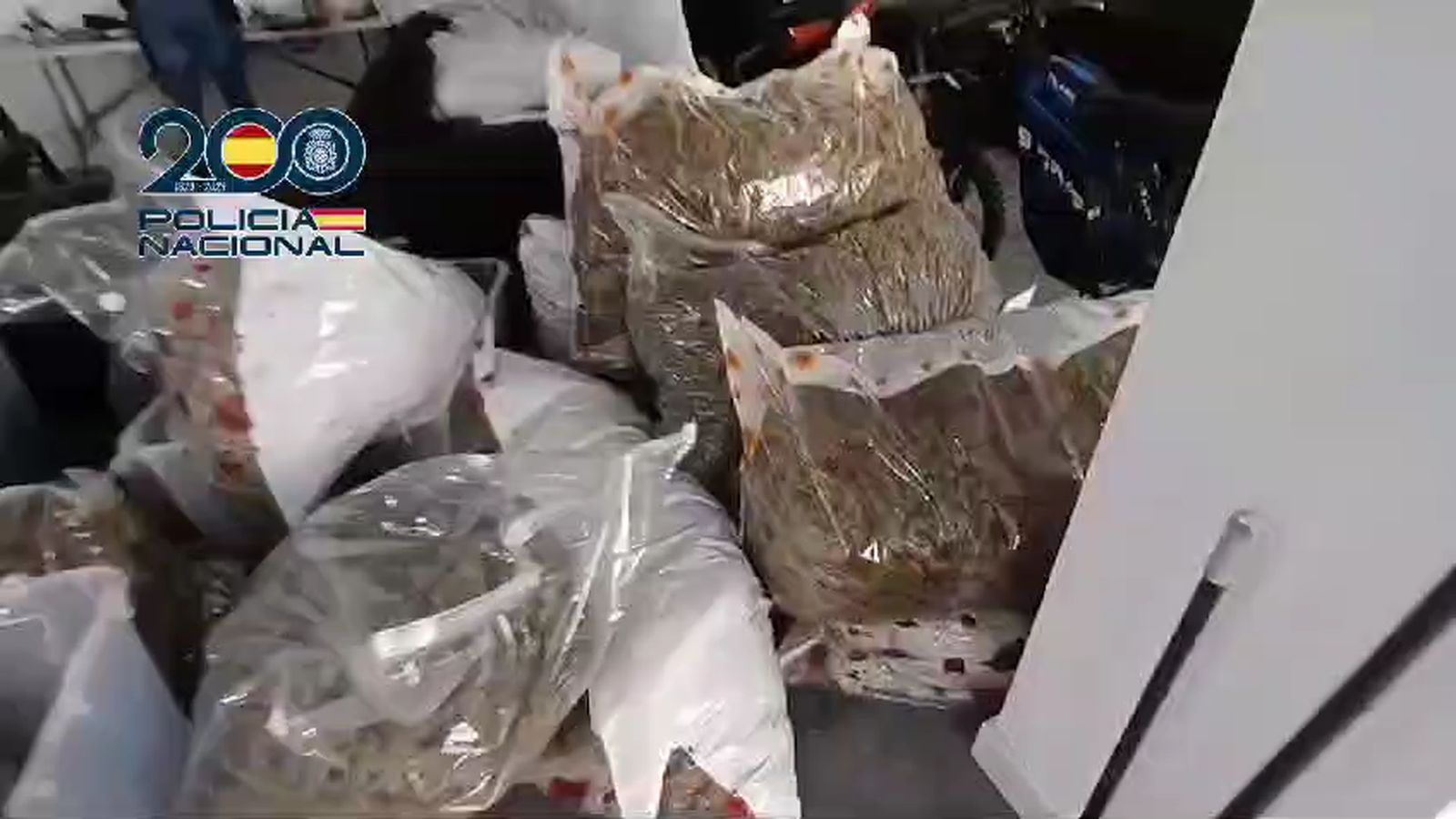 Golpe a la marihuana en Sanlúcar: incautados 162 kilos de cogollos que se habrían vendido por un millón