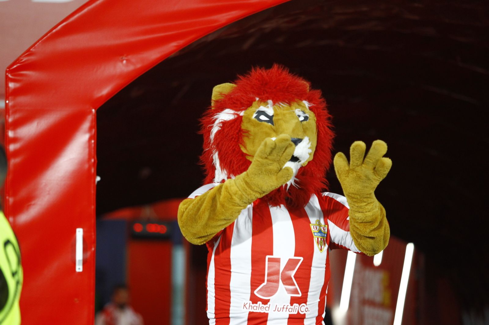 Imágenes del partido U.D. Almería-Deportivo Alavés