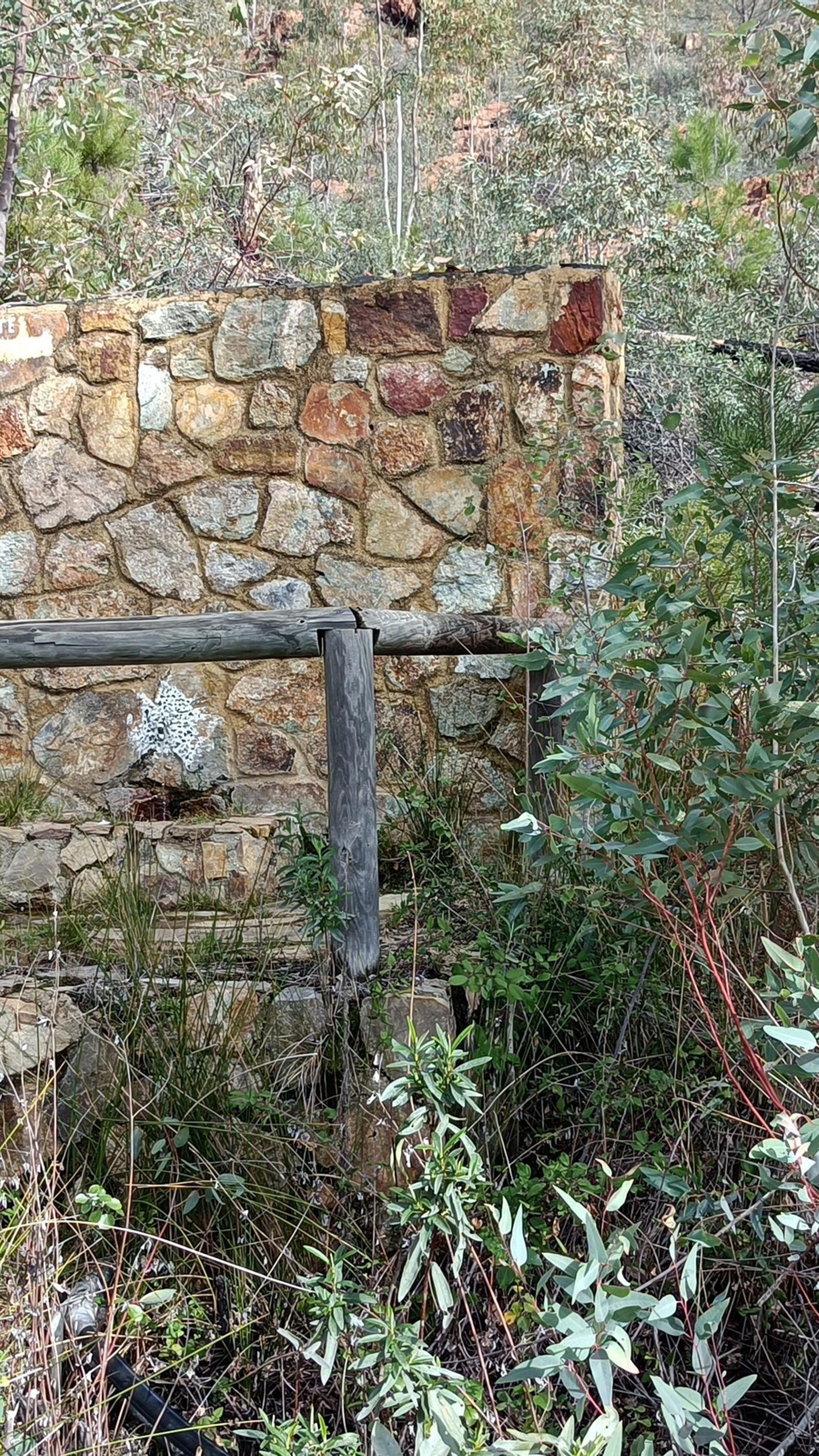 La fuente que nos encontramos durante la subida.