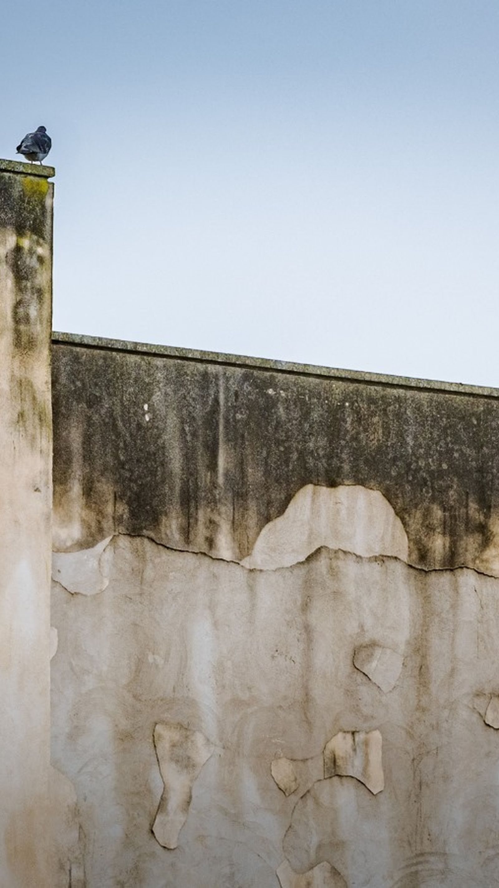 La intervención llevada a cabo en el Castillo de San Romualdo está cada vez más cuestionada.